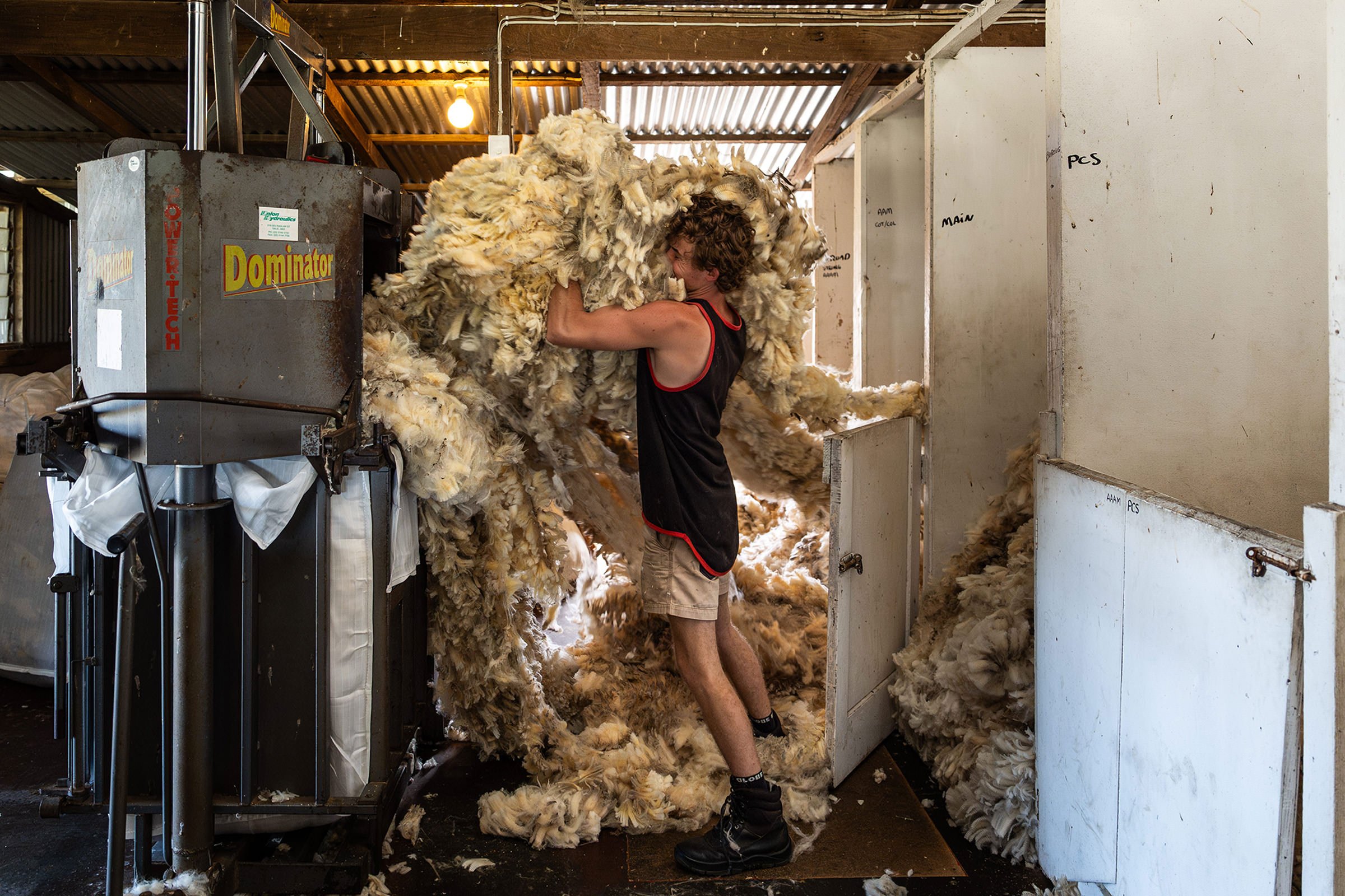 A wool handler works inside a shearing shed during a story on Australia’s wool industry.