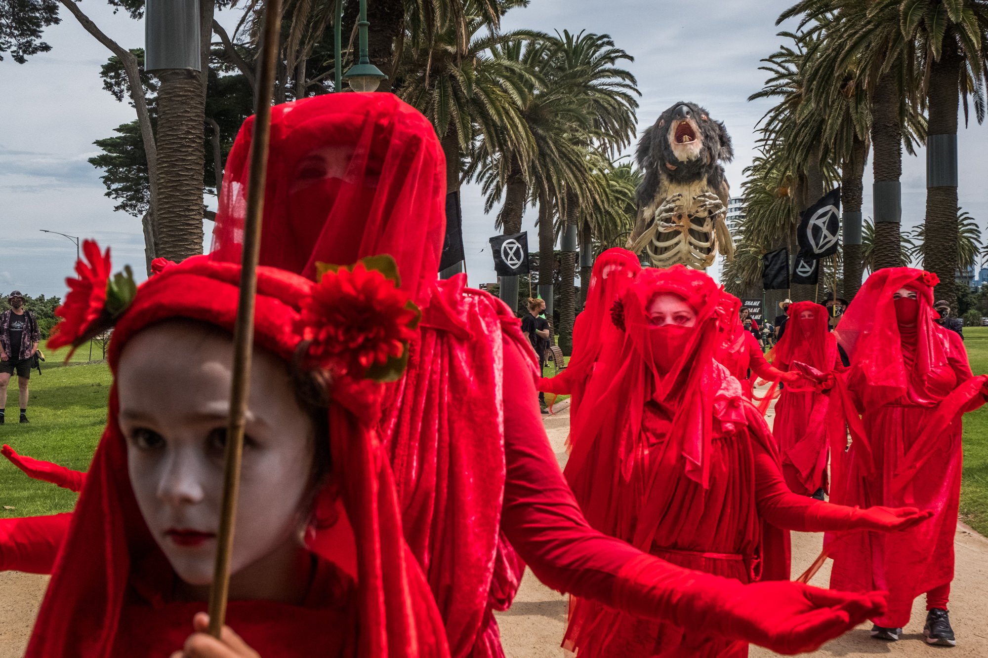 Extinction Rebellion leading a mock funeral featuring a large puppet of a burning Koala 