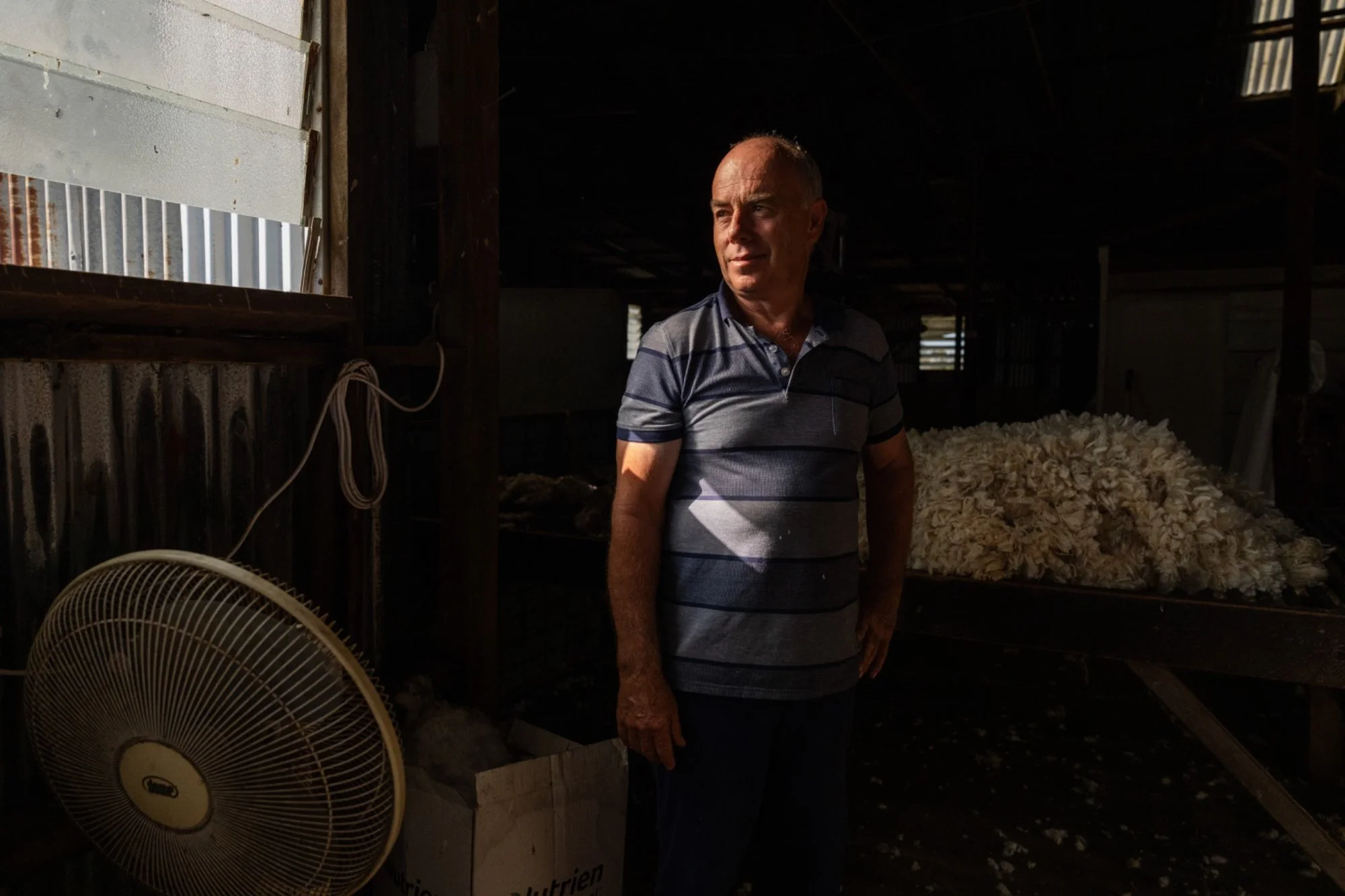 A portrait of Wool Producers Australia president Steve Harrison inside his shearing shed in Gippsland, Australia.