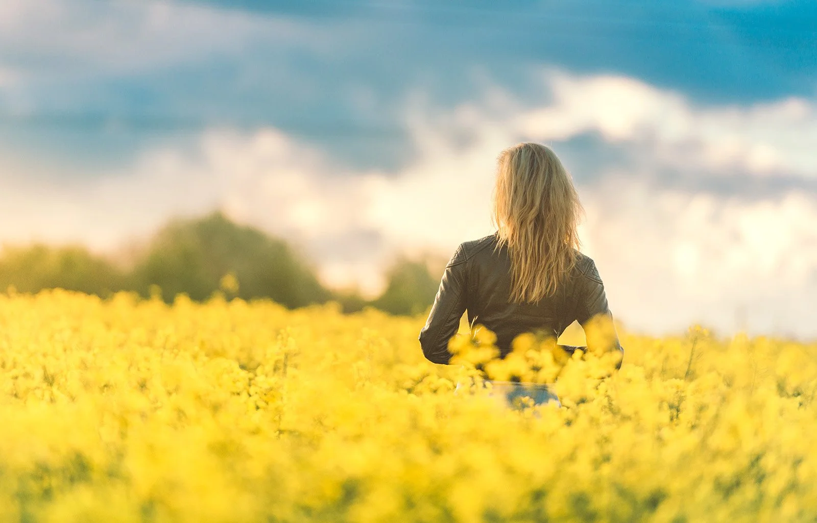 A person with blonde hair wearing a black leather jacket standing in a field of yellow flowers, facing away from the camera, during sunset or sunrise with a partly cloudy sky.