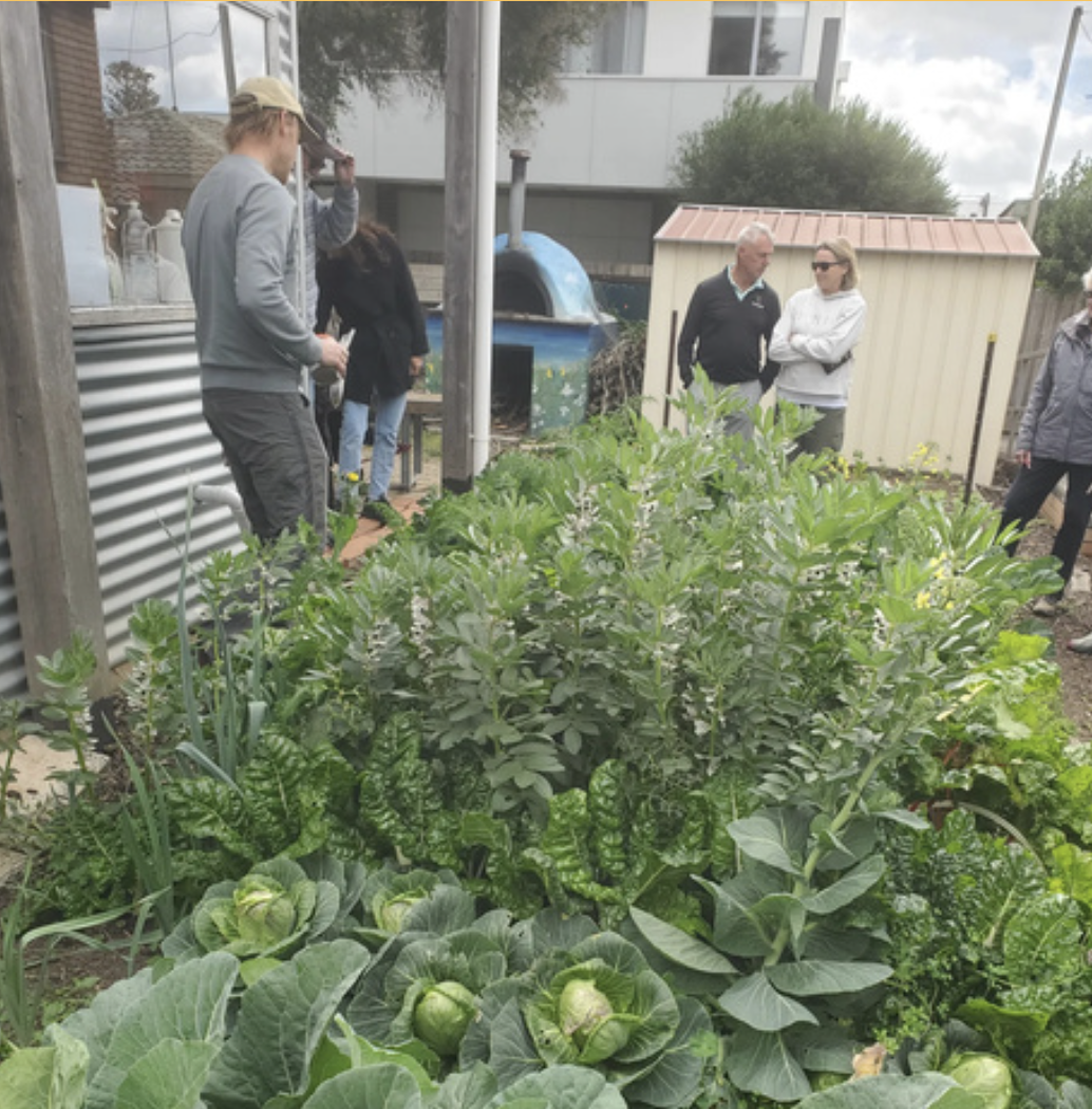 Nov 2025 – Jan 2026&nbsp;Newsletter