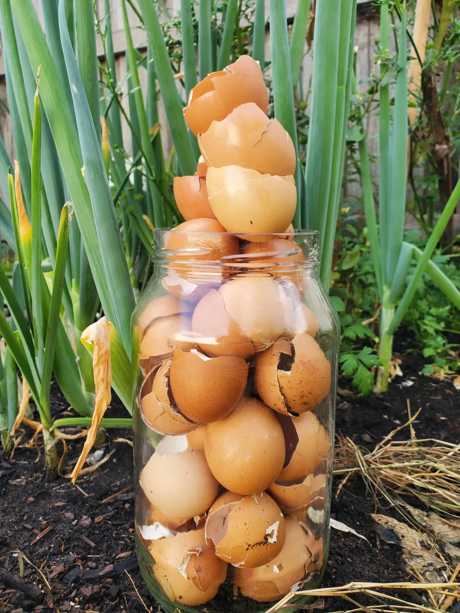 Egg shells and composting:&nbsp;tips