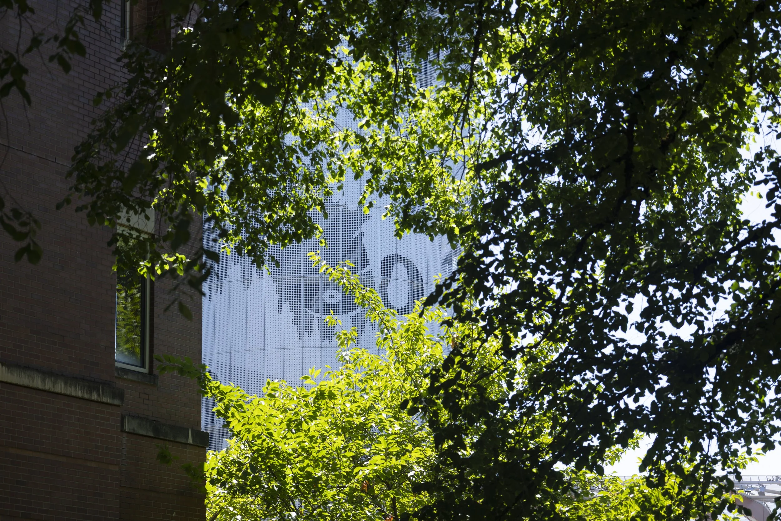 WKorth_20250415_01-4.jpg