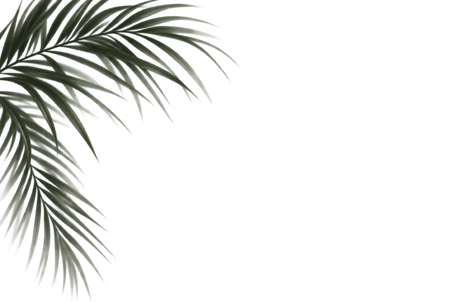 A green palm leaf on the left side with a partly visible bright pink structure on the right side.