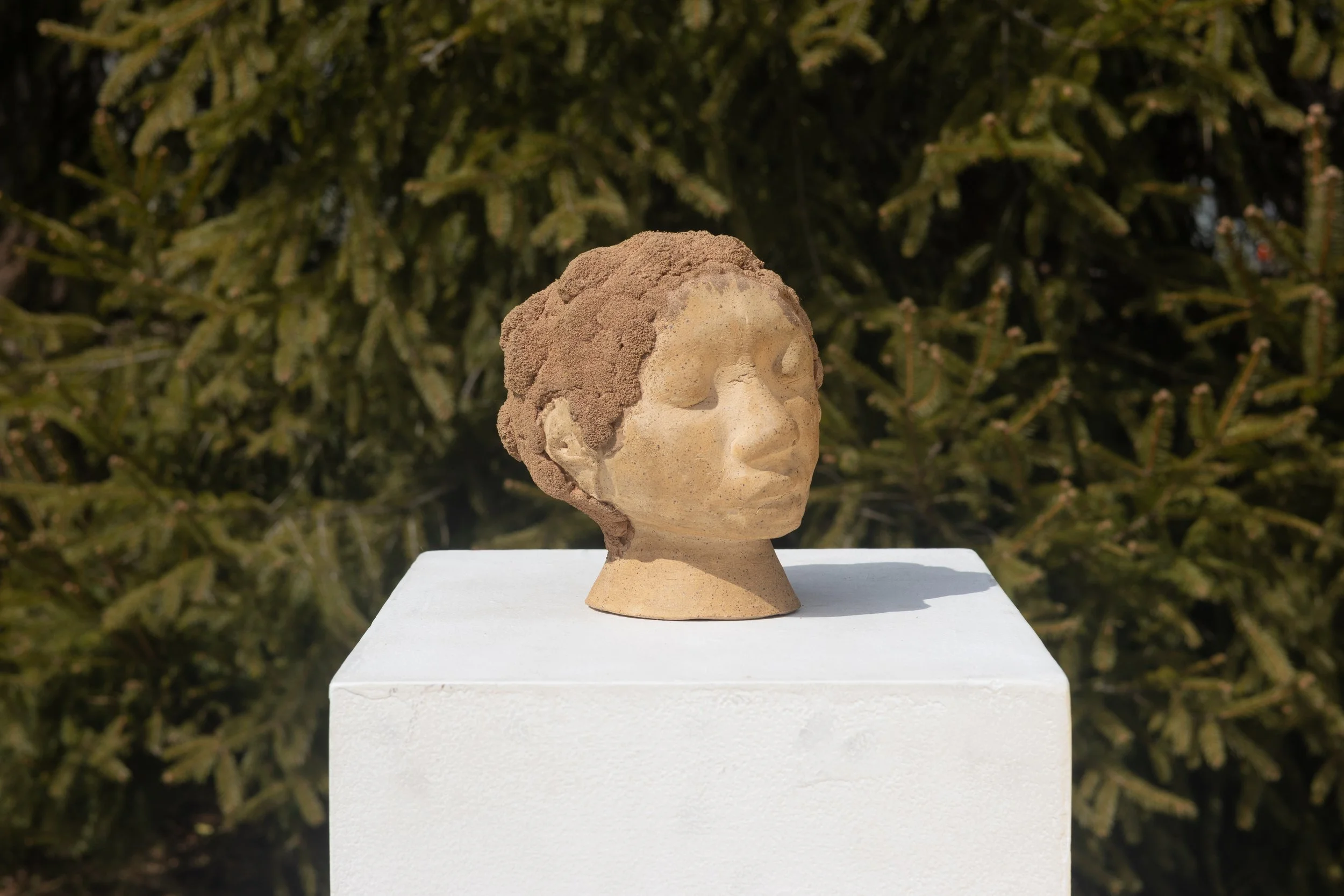 Ceramic bust sculpture of a woman's head with curly hair, displayed outdoors on a white pedestal against a background of green bushes.