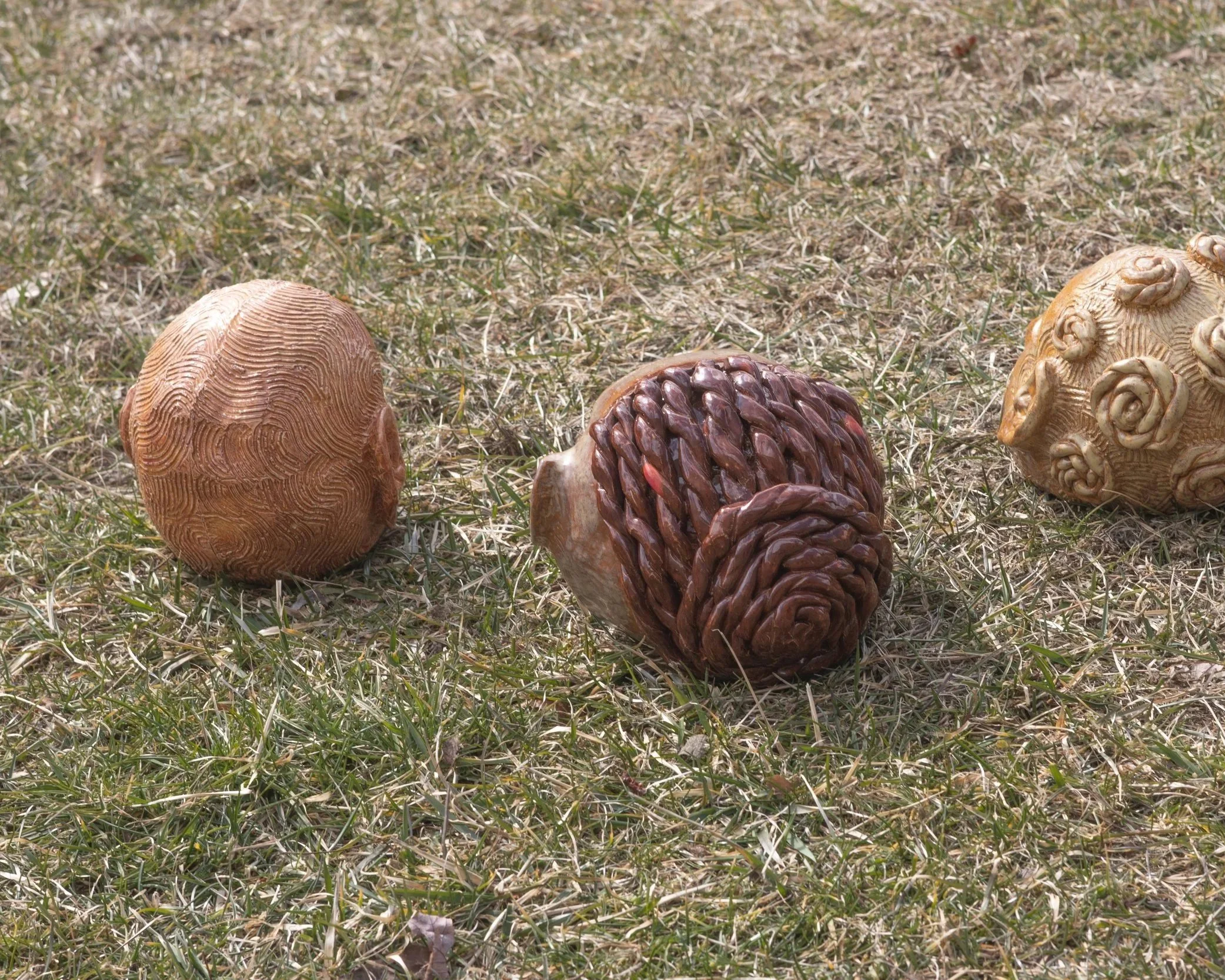 Four pinecones on a grassy field with dry, brown grass and patches of green.