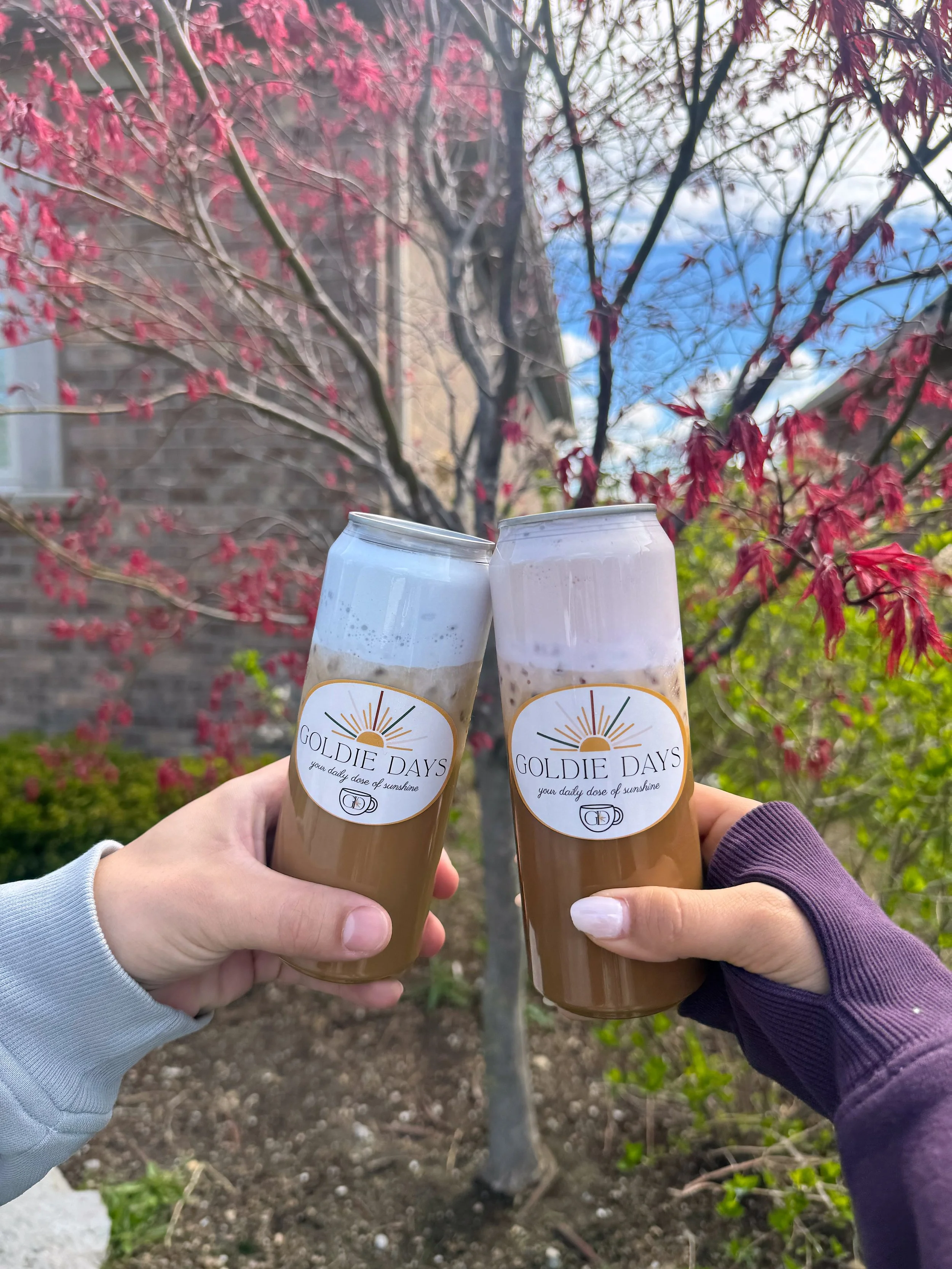 Goldie Days canned coffee for baby shower in Michigan