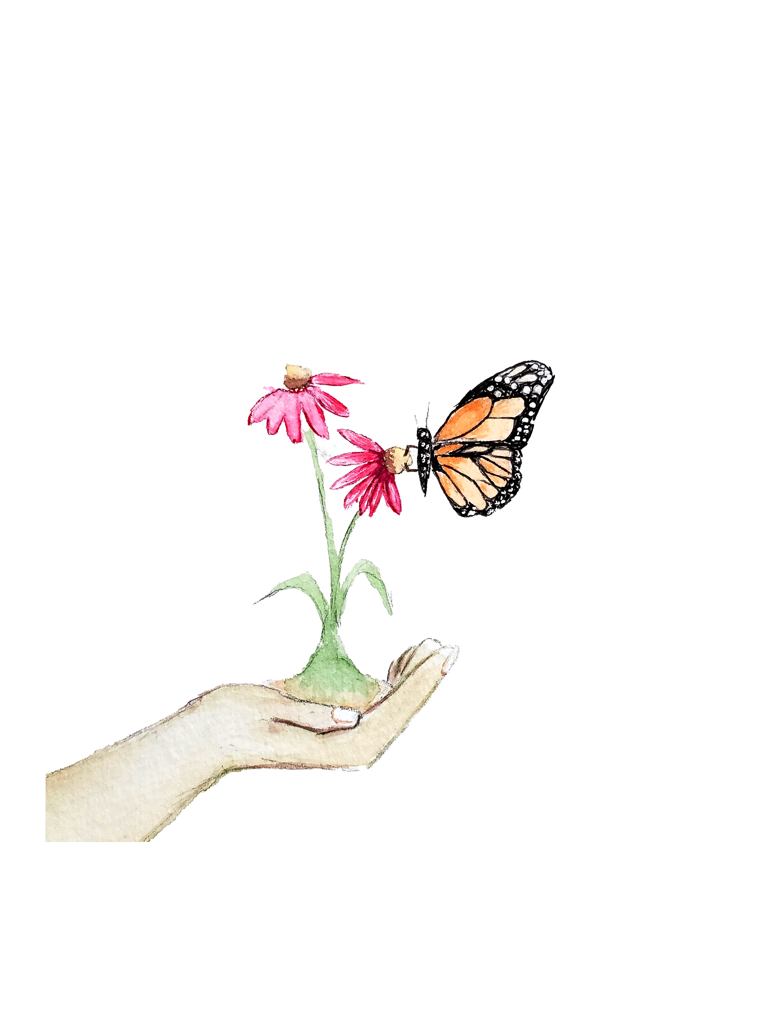 Hand holding a branch with pink flowers, a Monarch butterfly is perched on one of the flowers.