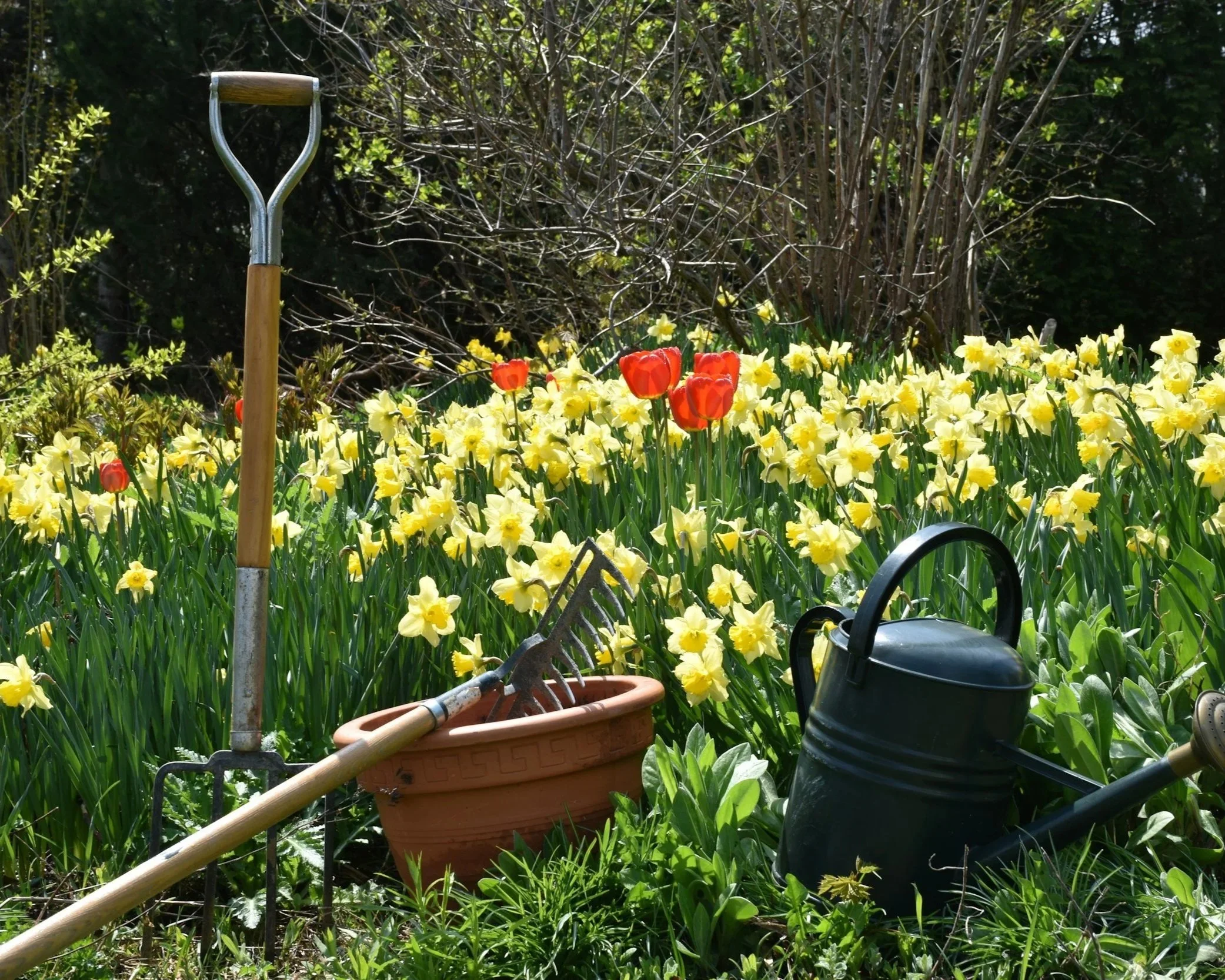 Gardening & Outdoor Living