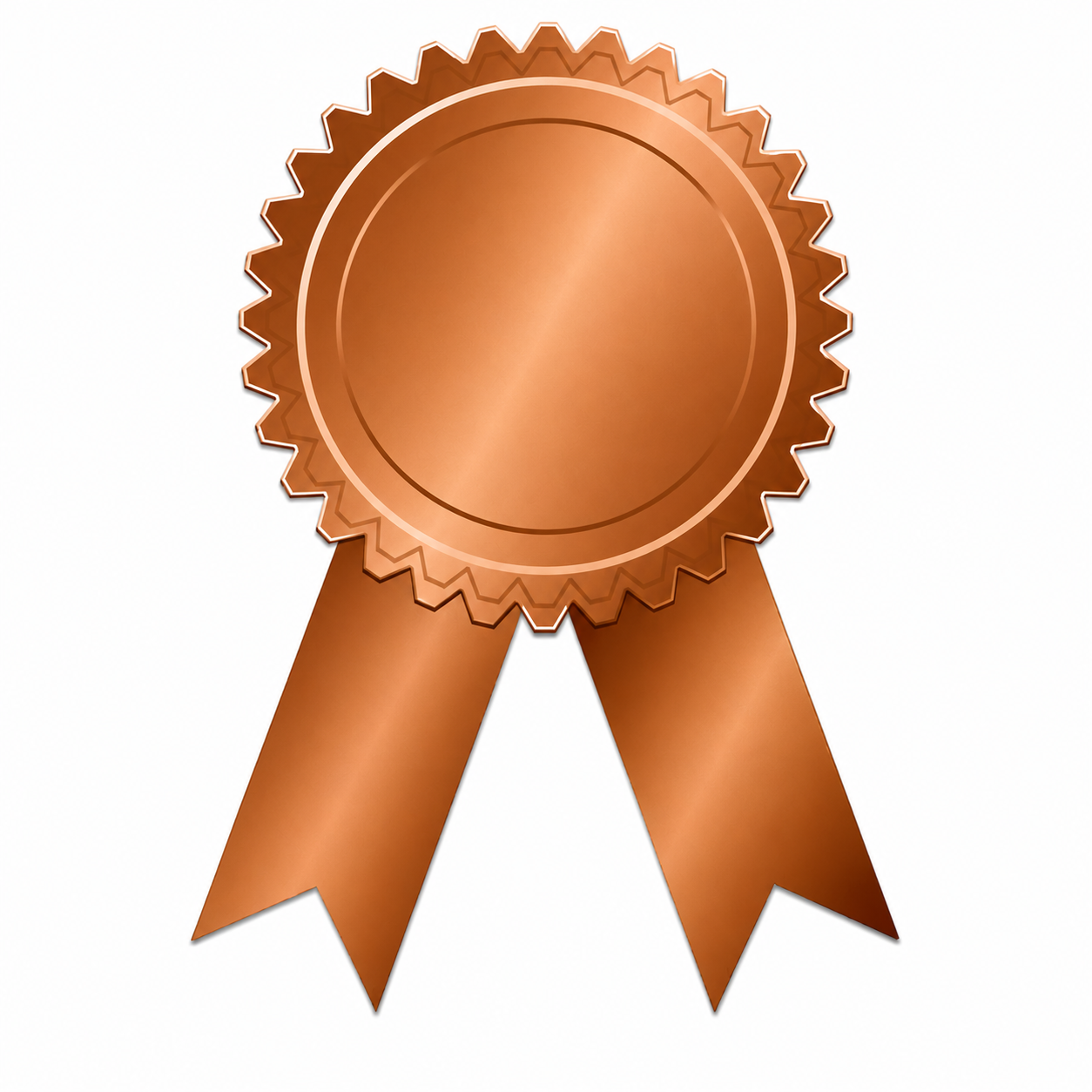 Bronze award medal with ribbons.