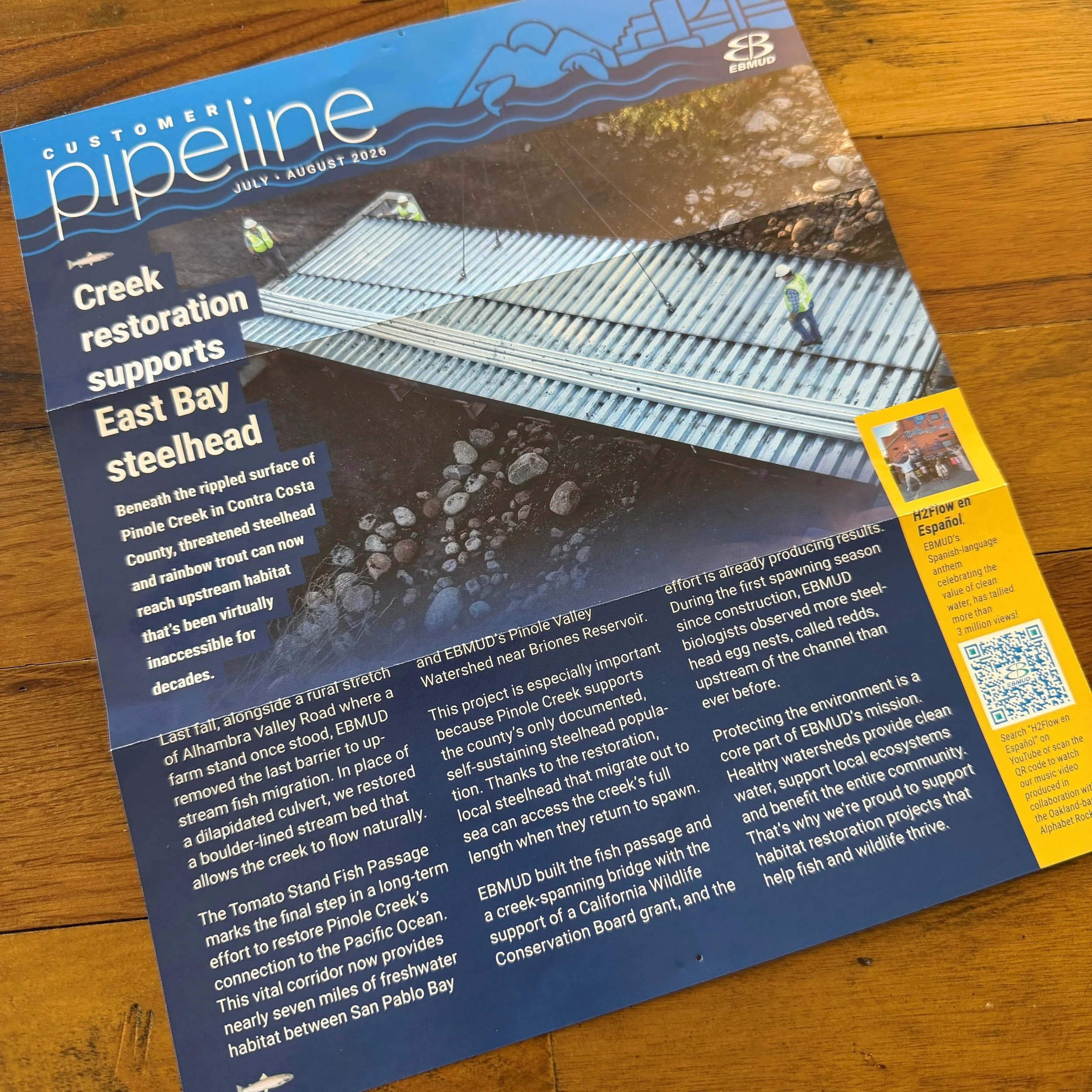 If you received a bill this month from the East Bay Municipal Utility District, you may have learned about one of RDG's projects - removing the last barrier to steelhead migration on Pinole Creek!
#fishpassage
#pinolecreek
#streamrestoration
#ecologi