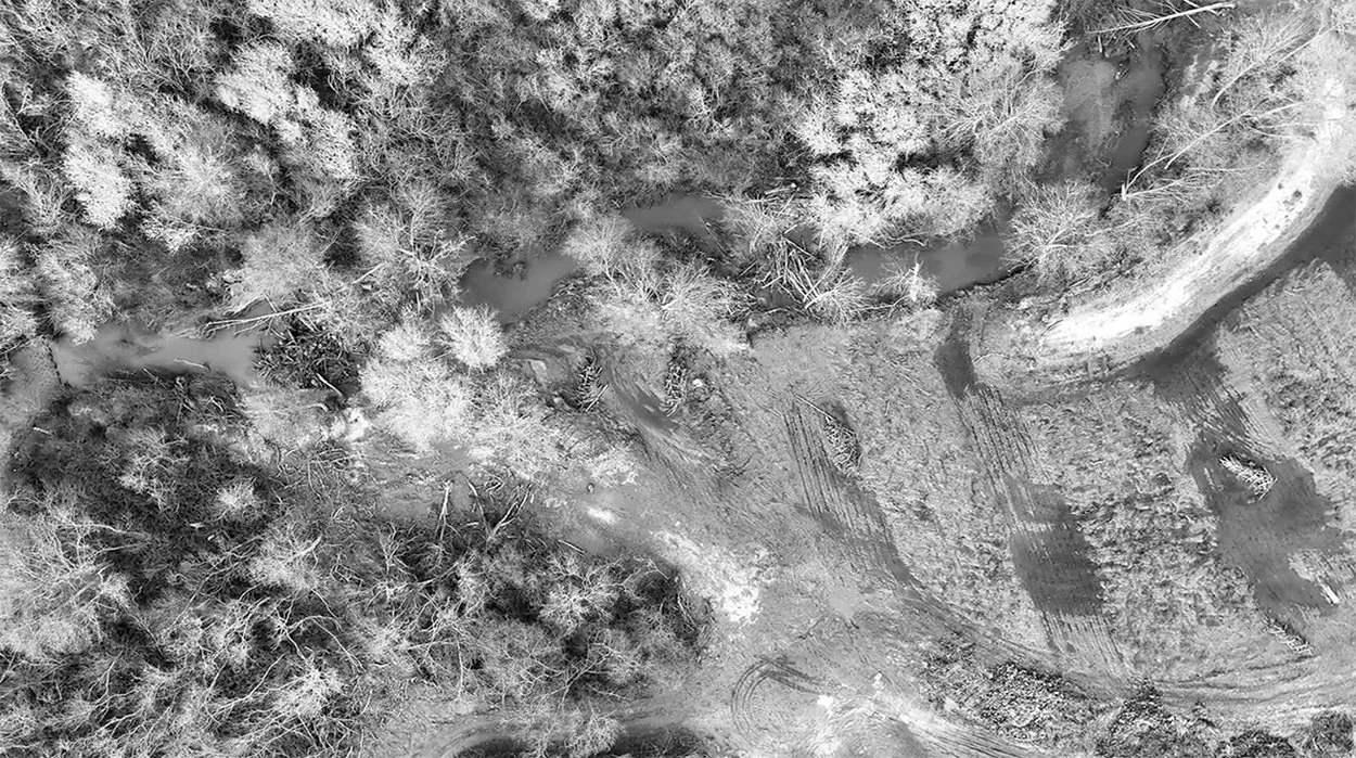 restoration-engineering-butano-creek-bw.jpg