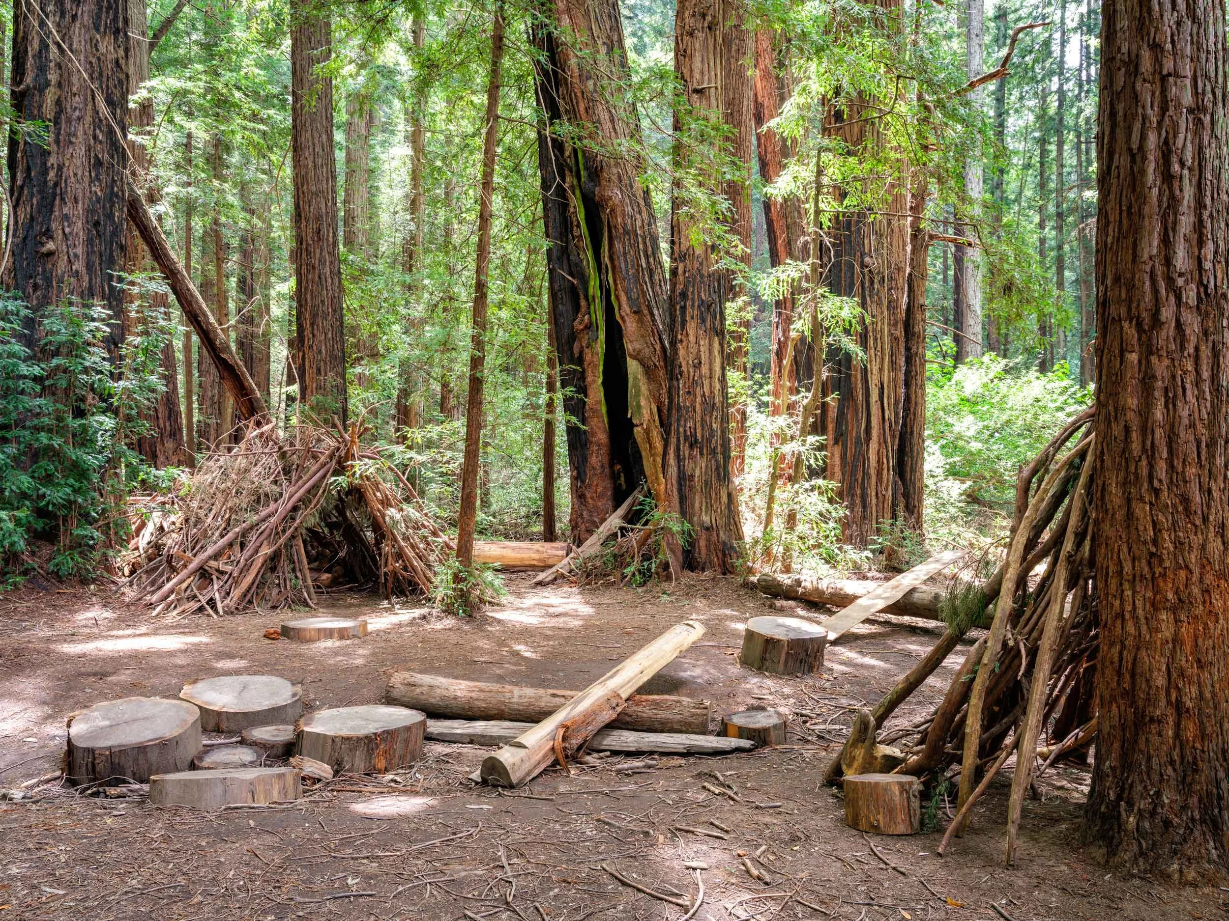 Photo of adventure play area in redwood grove