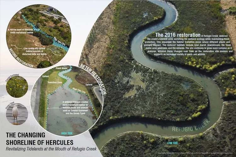 "The Changing Shoreline of Hercules" interpretive graphic with historic maps