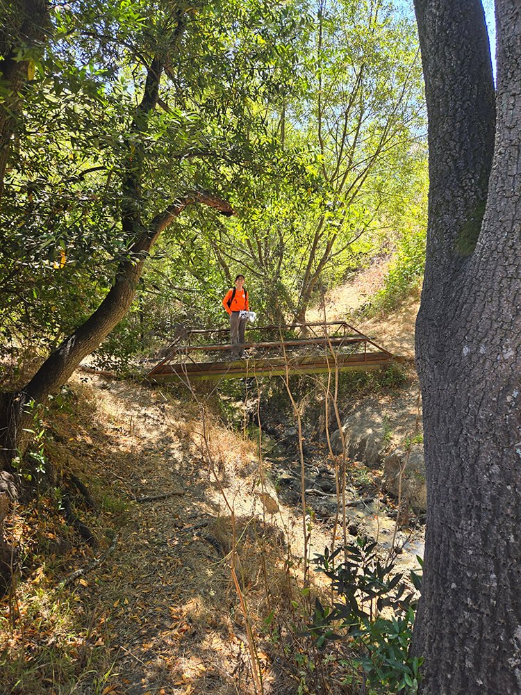Narrow footbridge crossing the creek among trees at Havey Canyon