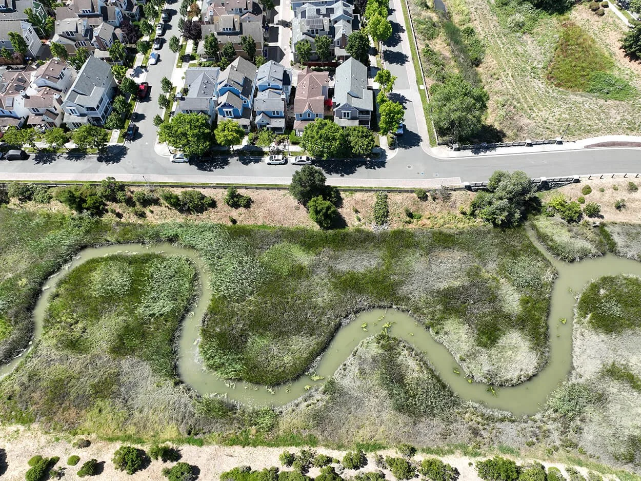 Aerial view of Refugio Creek's restored meanders beside a neighborhood