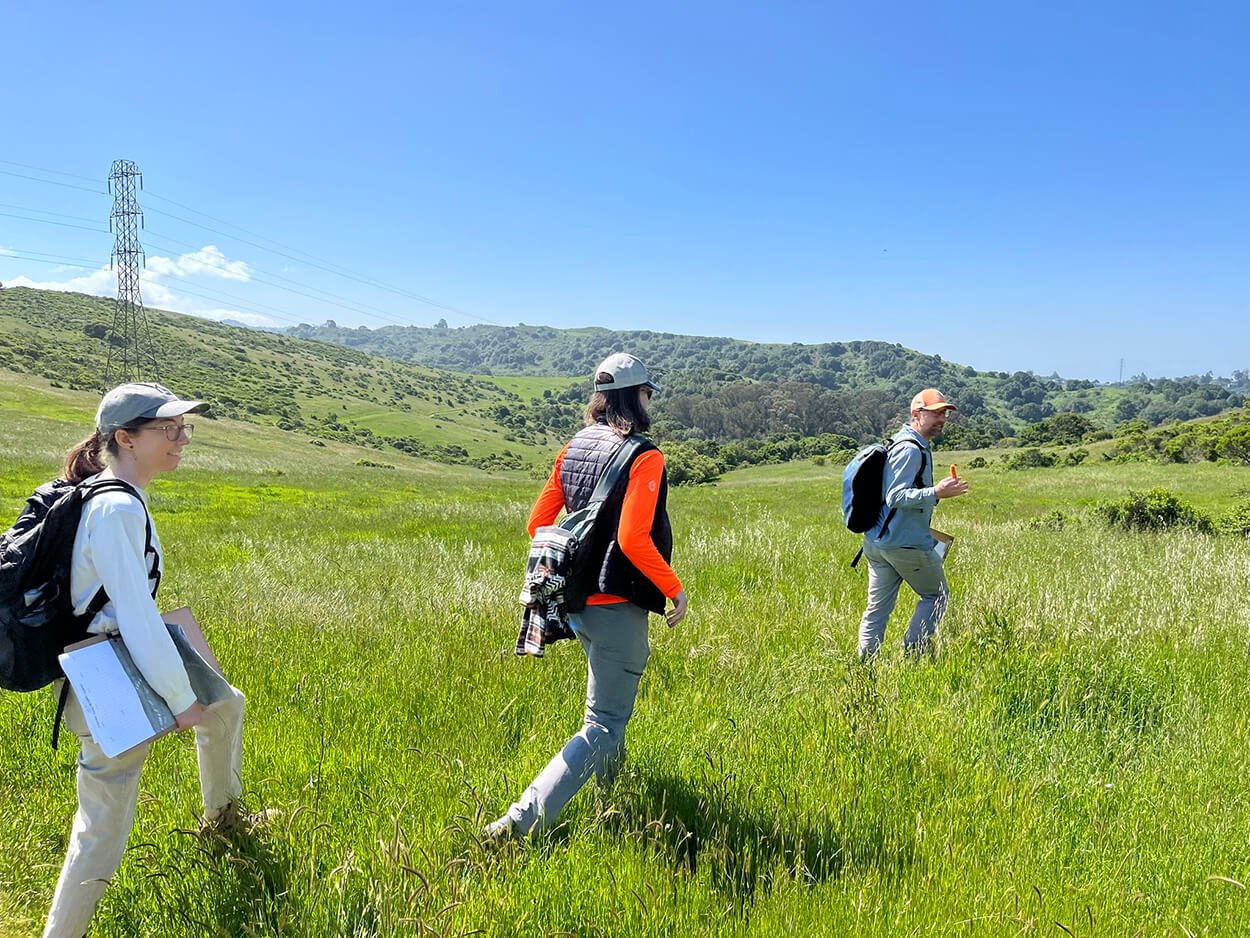RDG survey team walking through open grassland at Havey Canyon