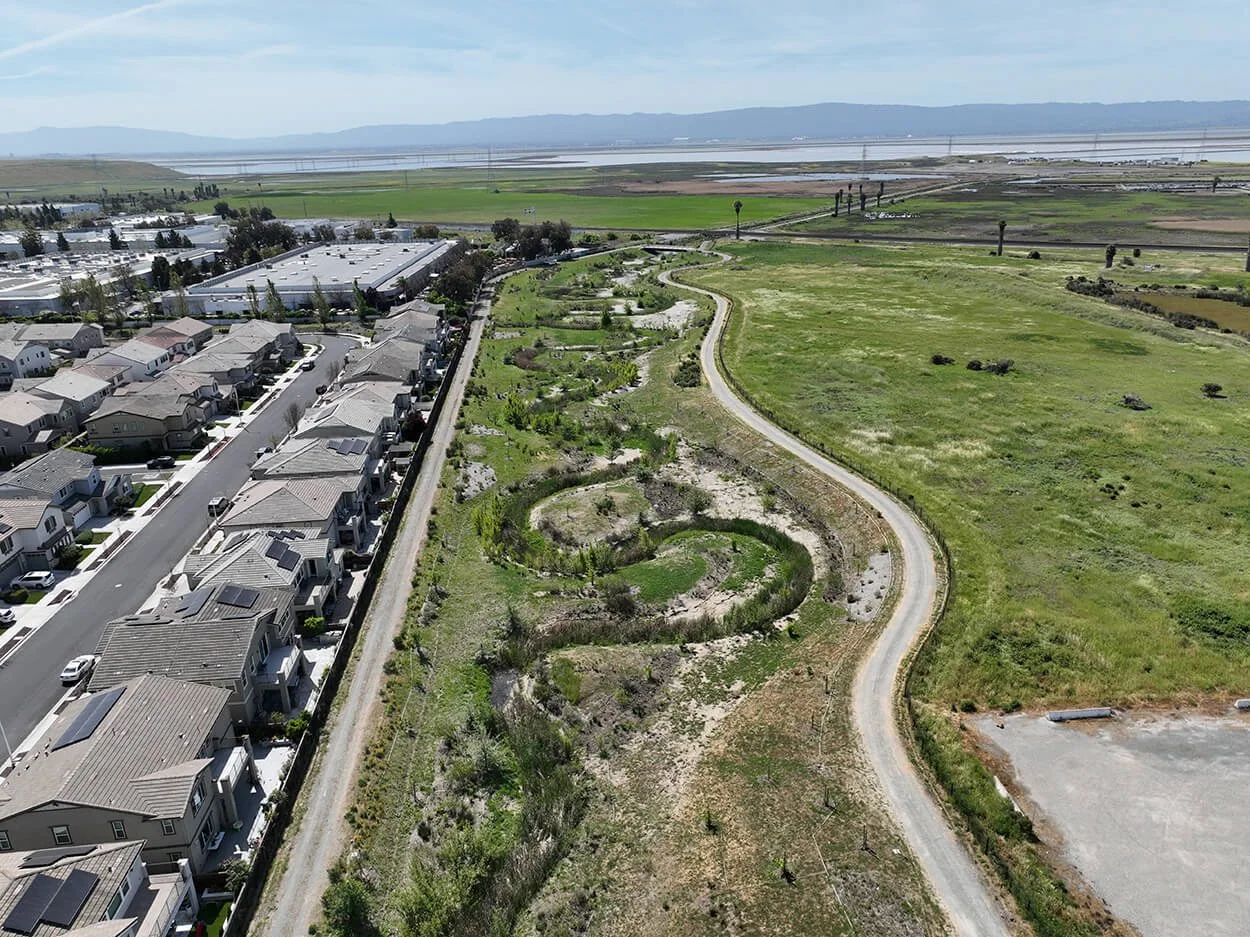 Ohlone Creek Restoration