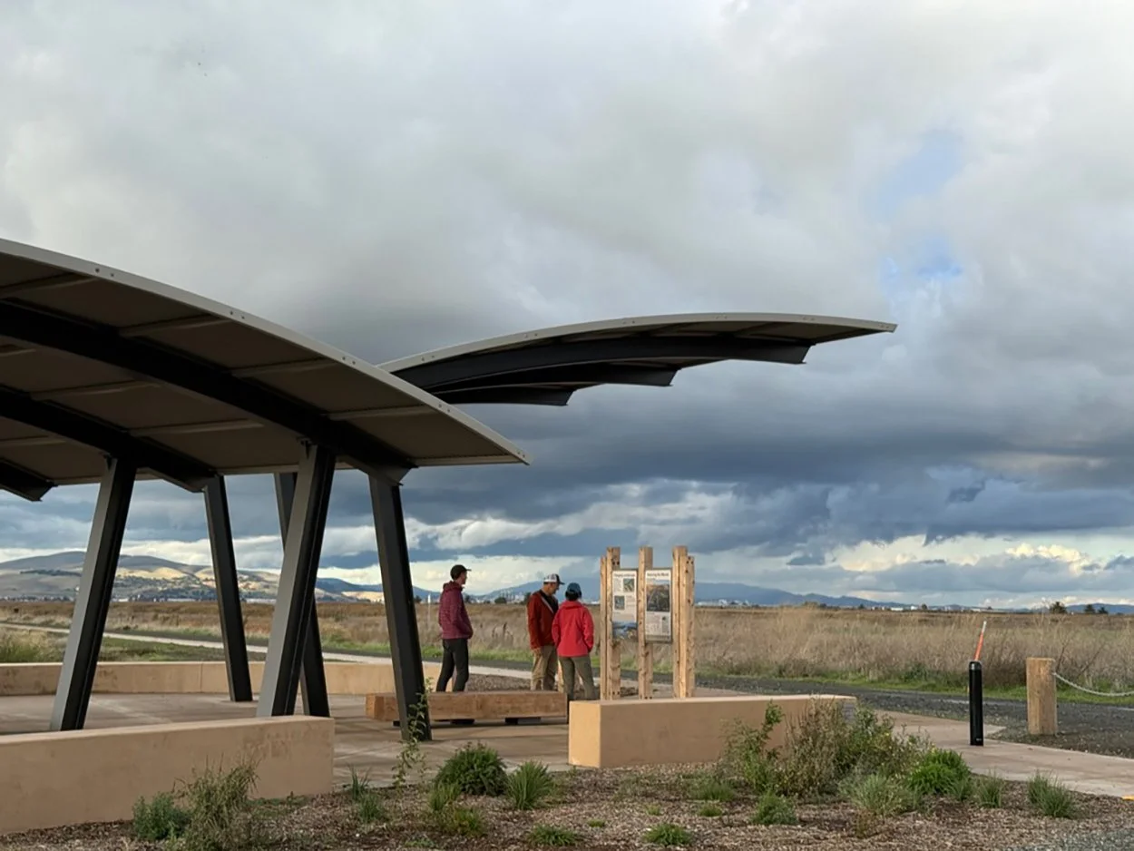 Visitors beneath the winged shade structure at Pacheco Marsh