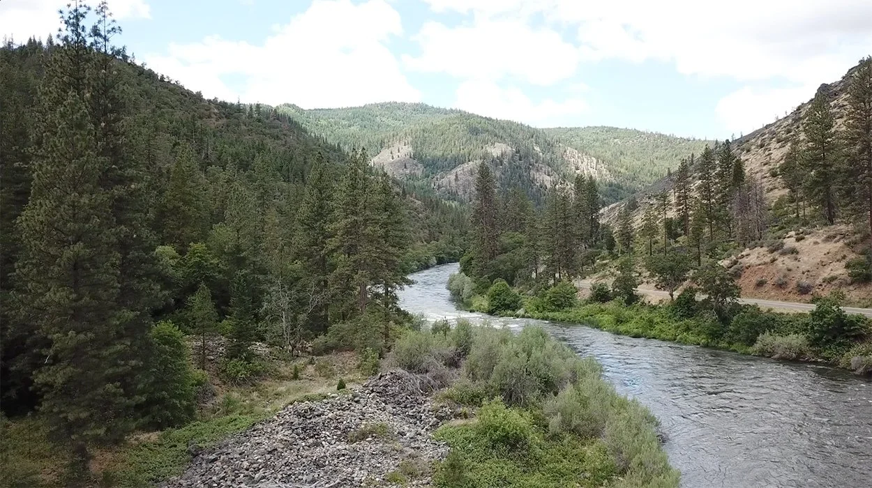 homepage-video-mobile-image.jpg