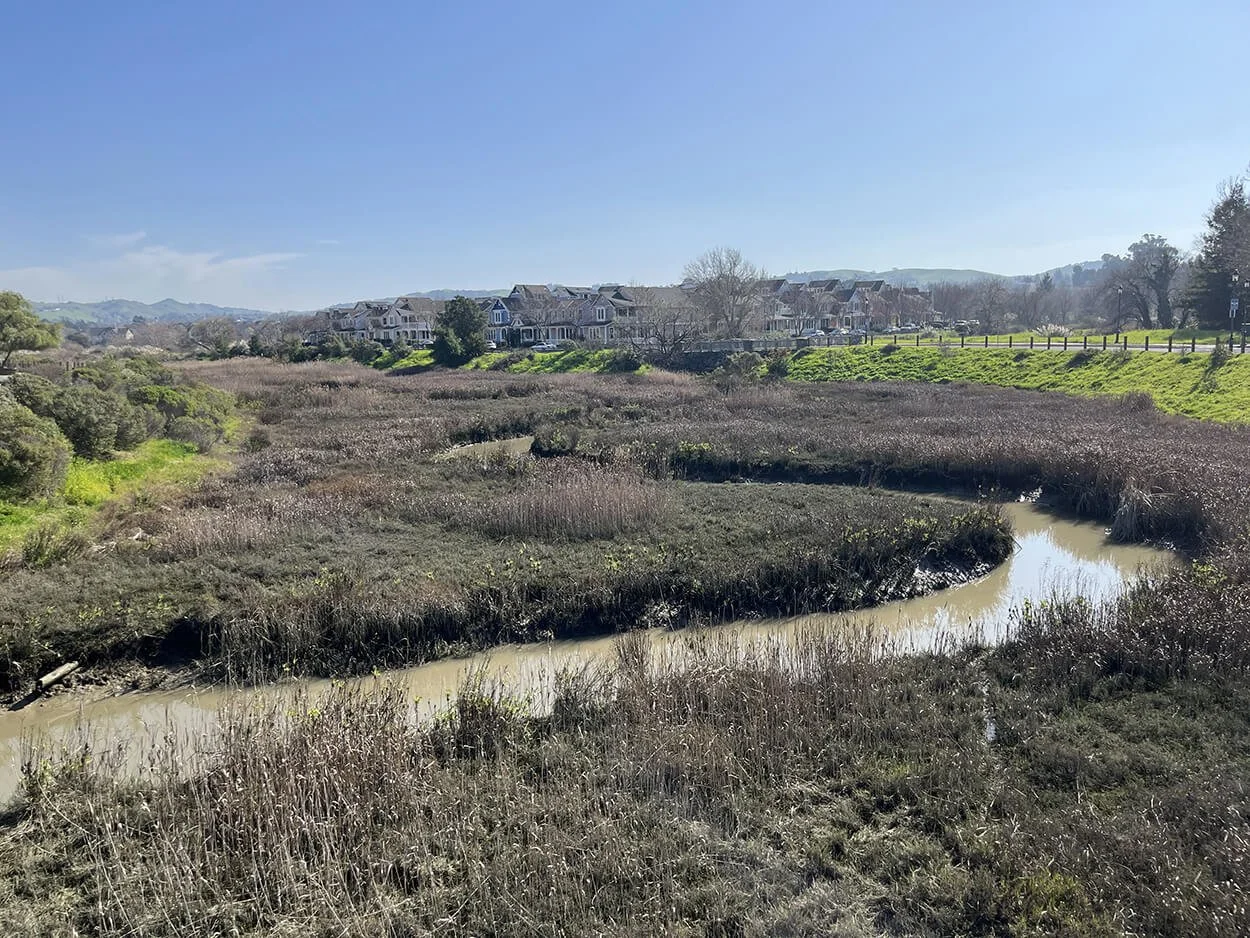 Refugio Creek and Tidal Marsh