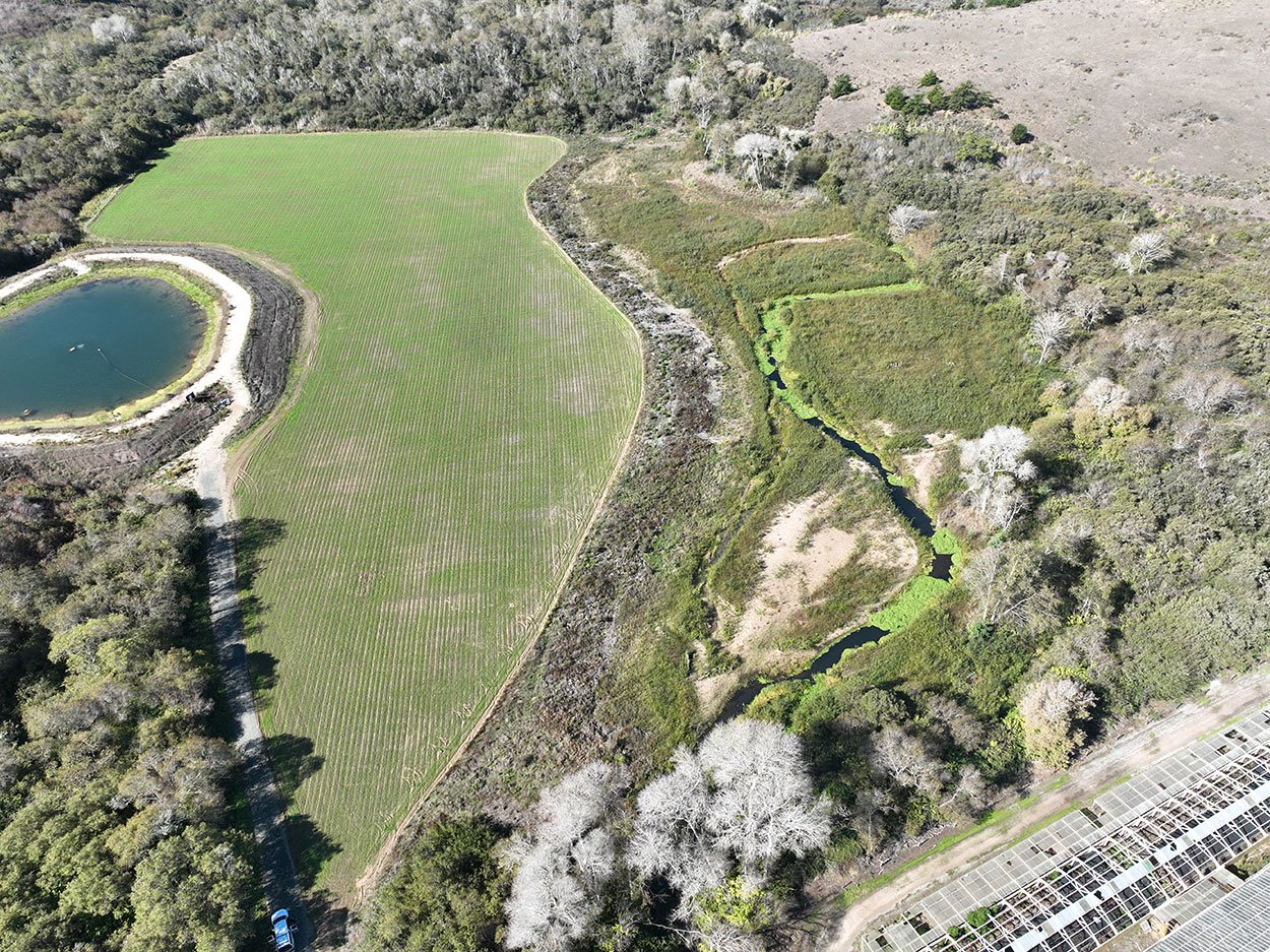 Butano Creek