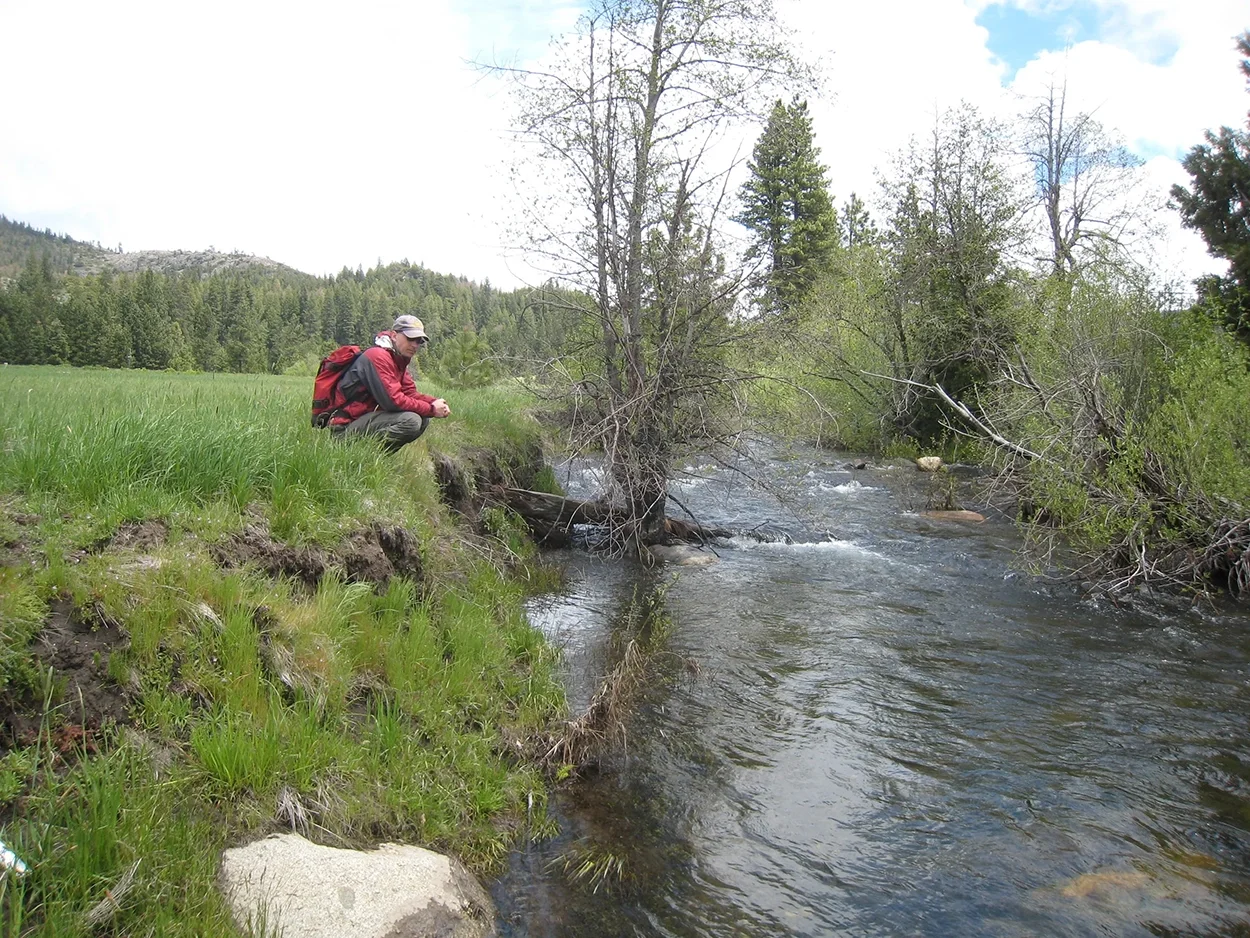 RDG staff member inspecting a log structure along a mountain creek
