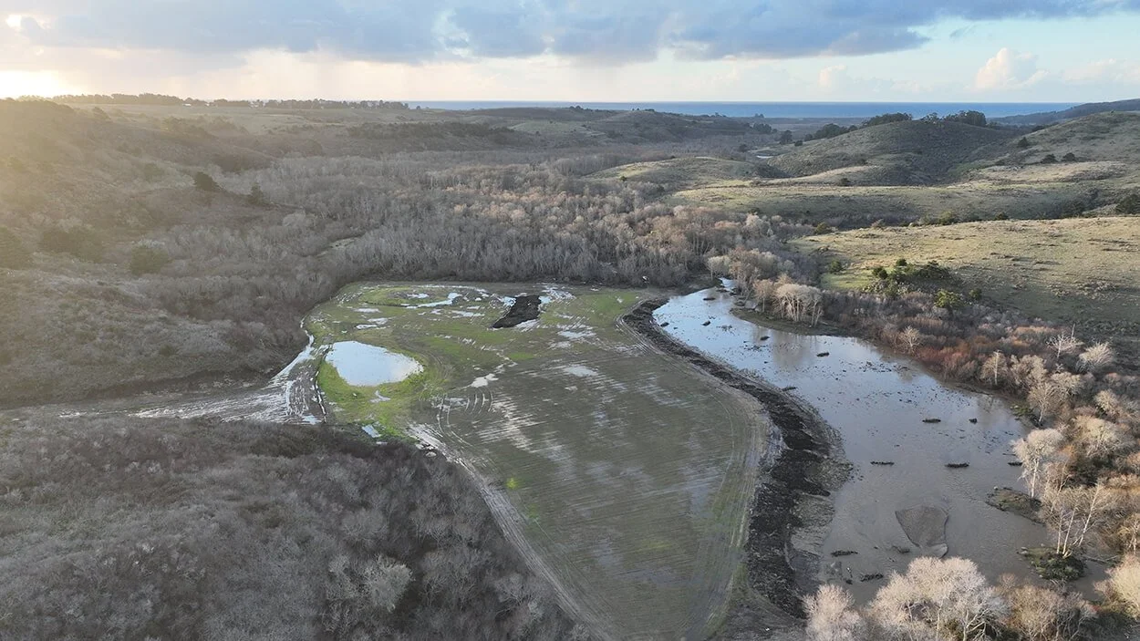 Butano Creek spreading across its reconnected floodplain