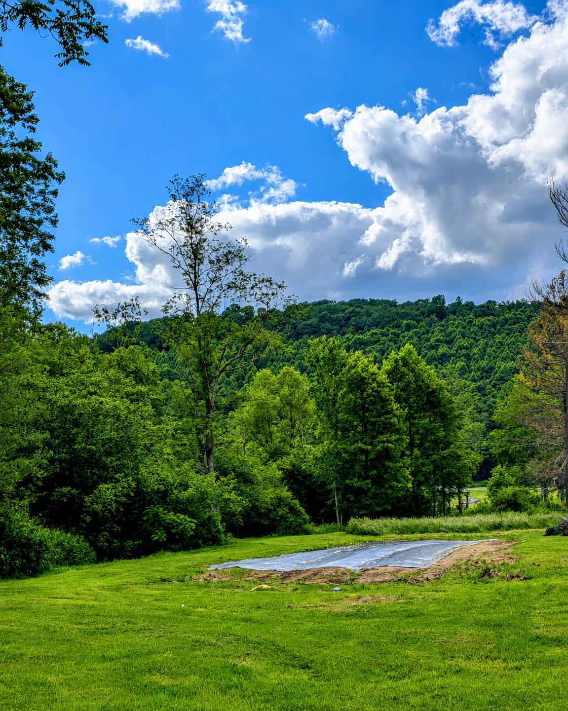 A lush green field with a garden bed covered in plastic sheeting, trees in the background, a wooded hillside, and a partly cloudy sky overhead.