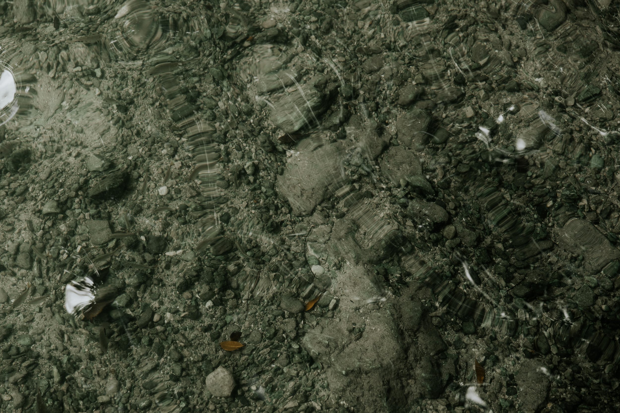 1C0A6858.jpg
