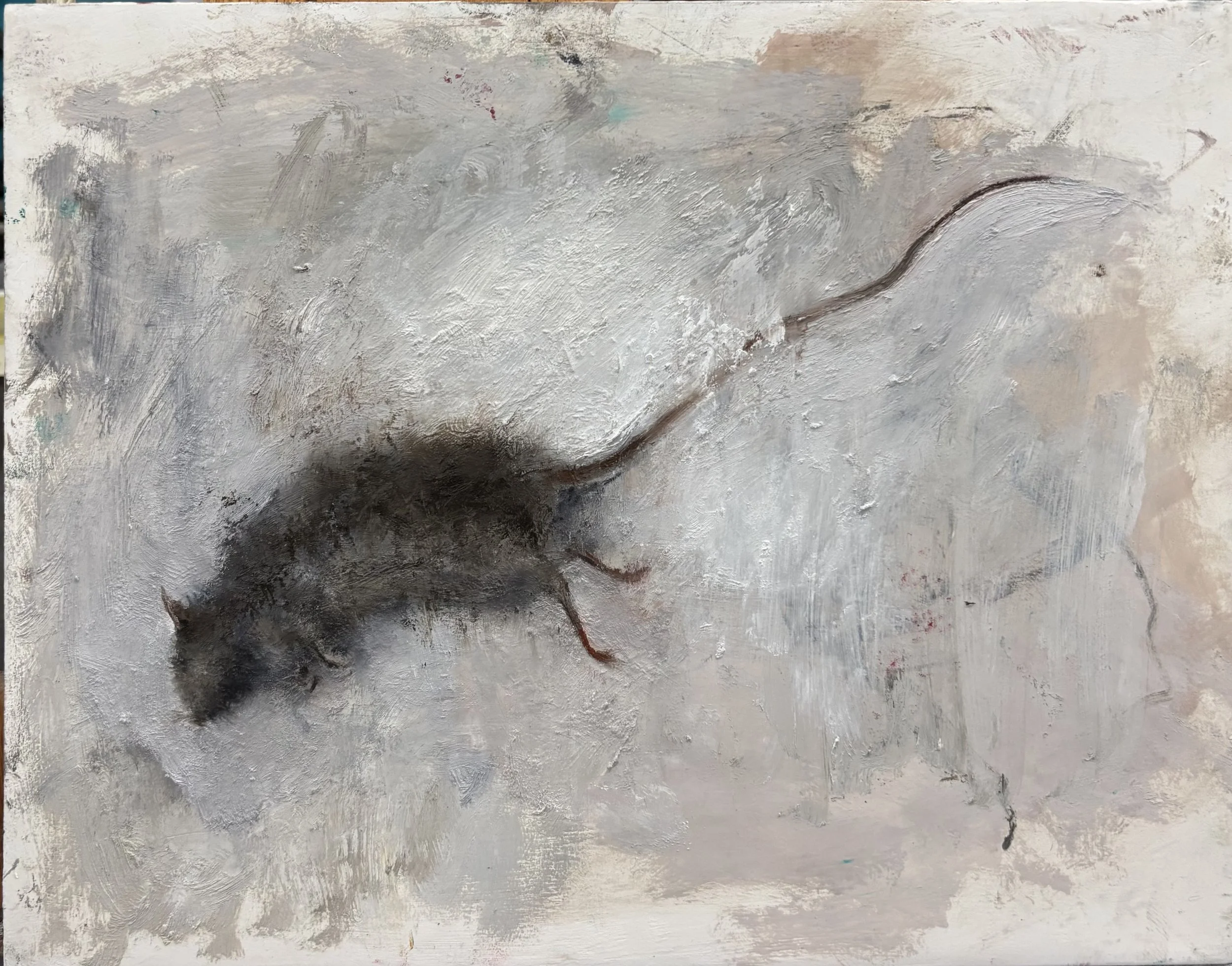 Rat Series