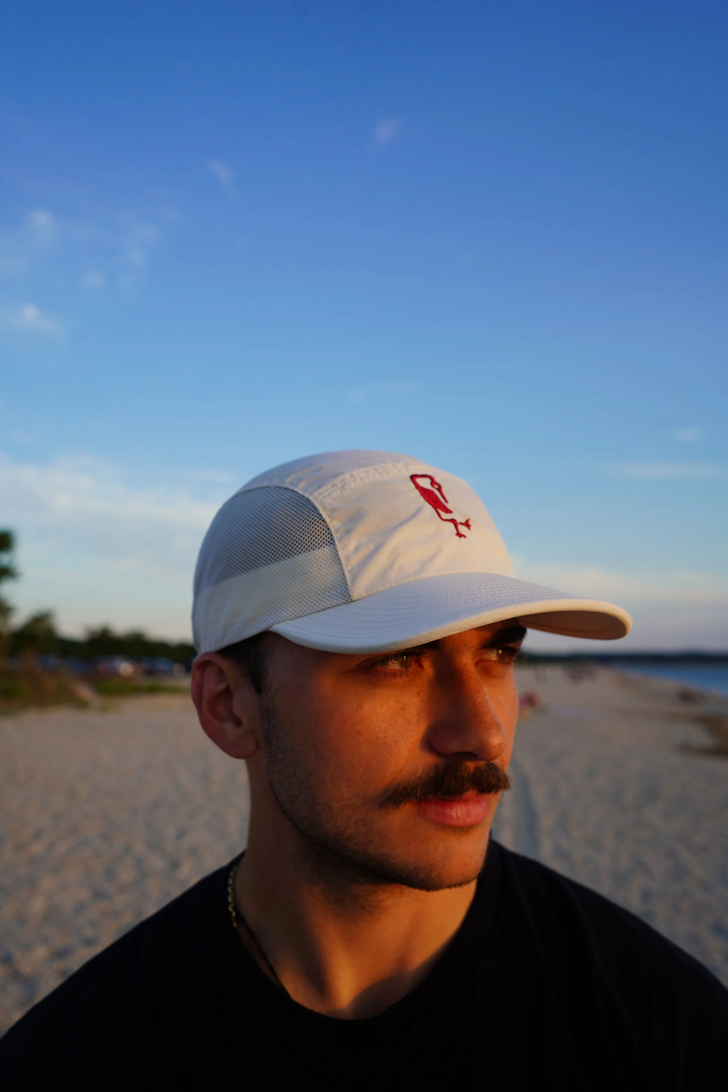 Flagship runner hat