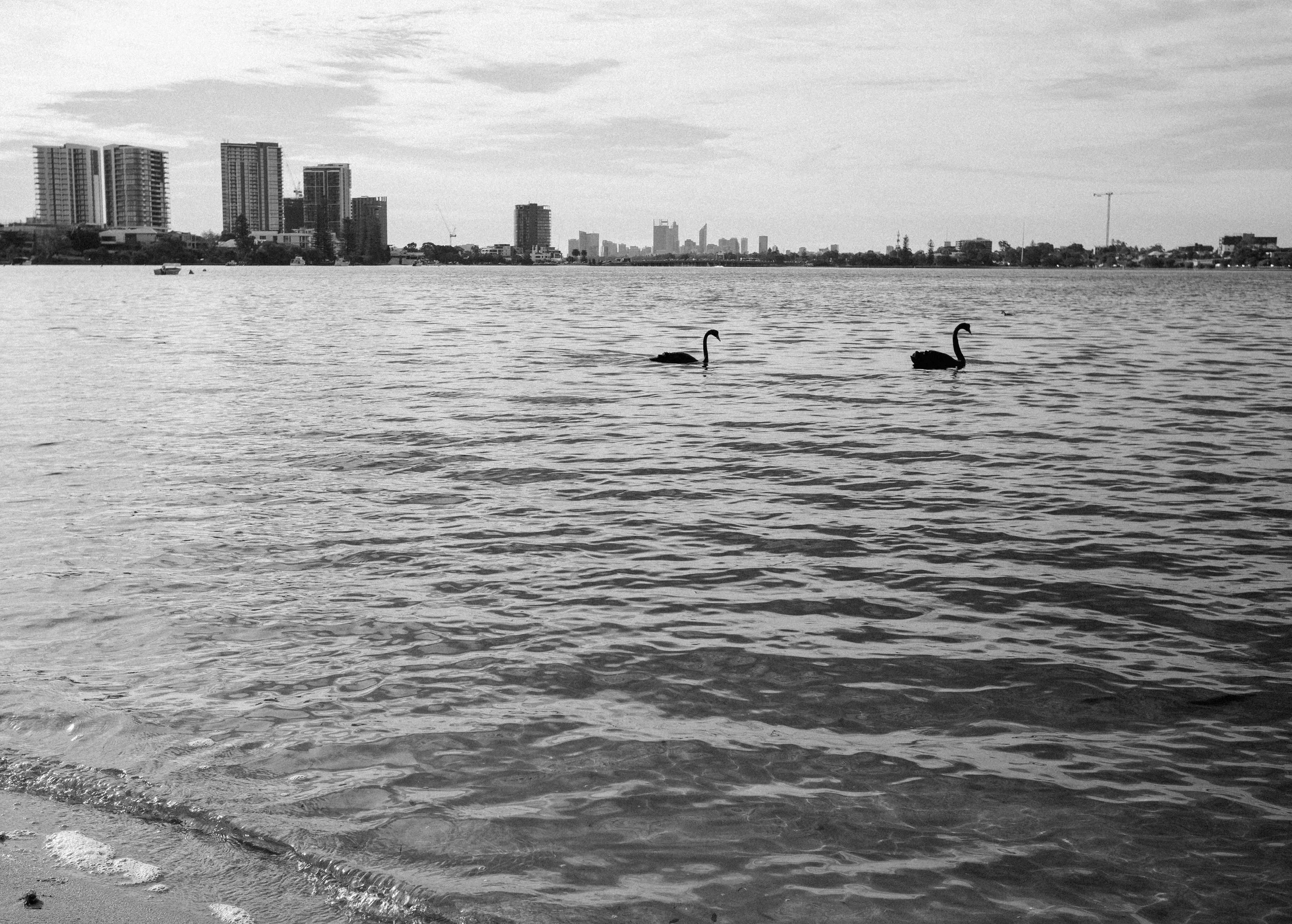 L1009648.jpg