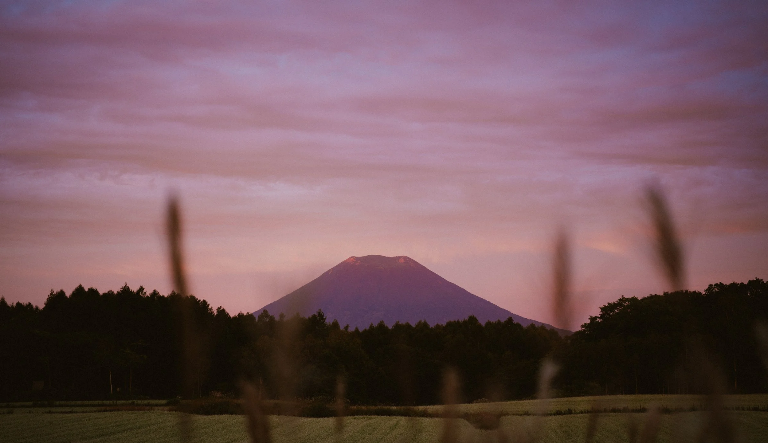 P1035318-3.jpg