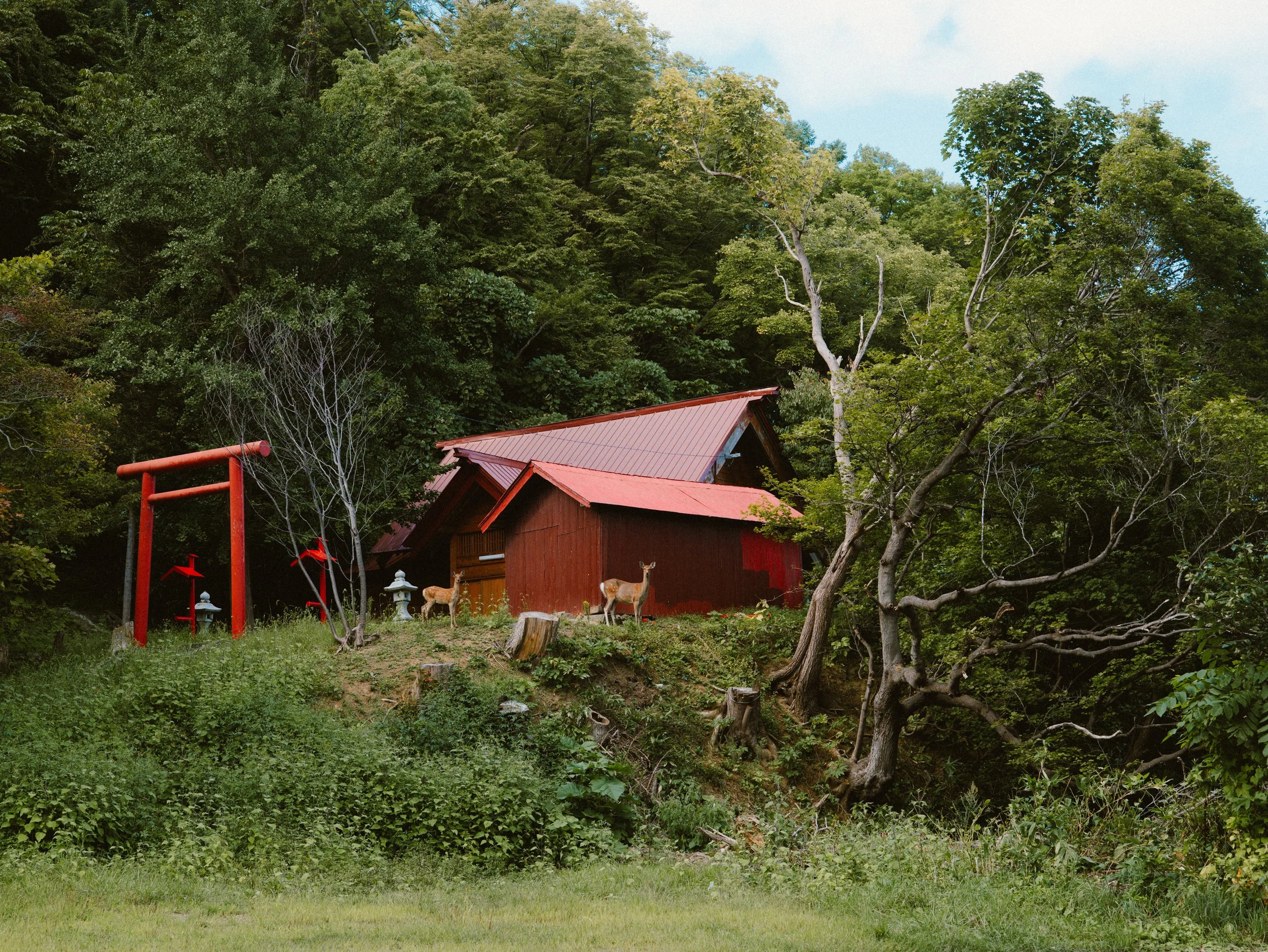 P1045430.jpg