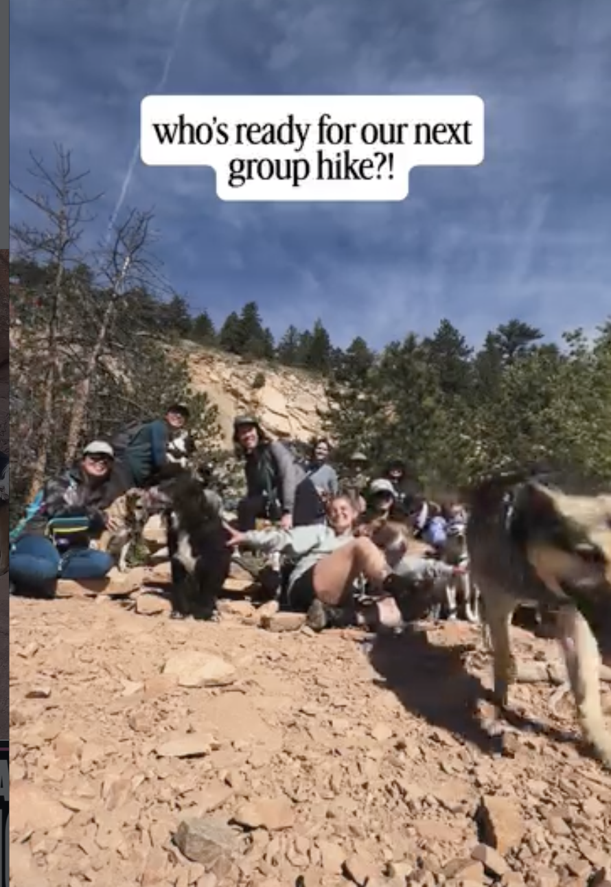 Atticus the Shep + K-Pup Hike