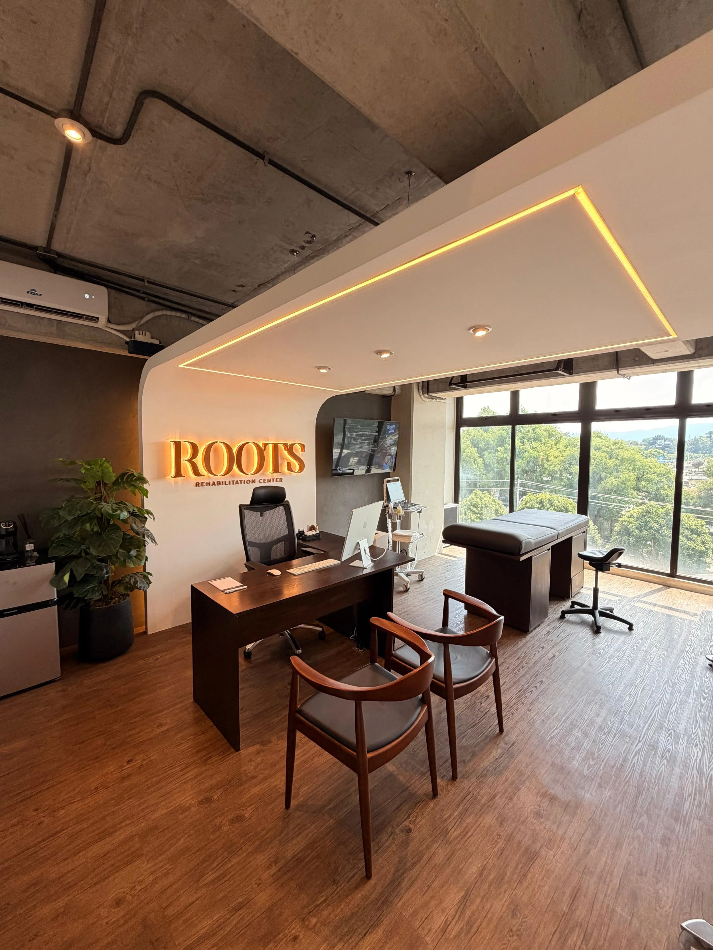 Oficina moderna con escritorio, silla, plantas y vista a través de grandes ventanas con paisaje de árboles y montañas.