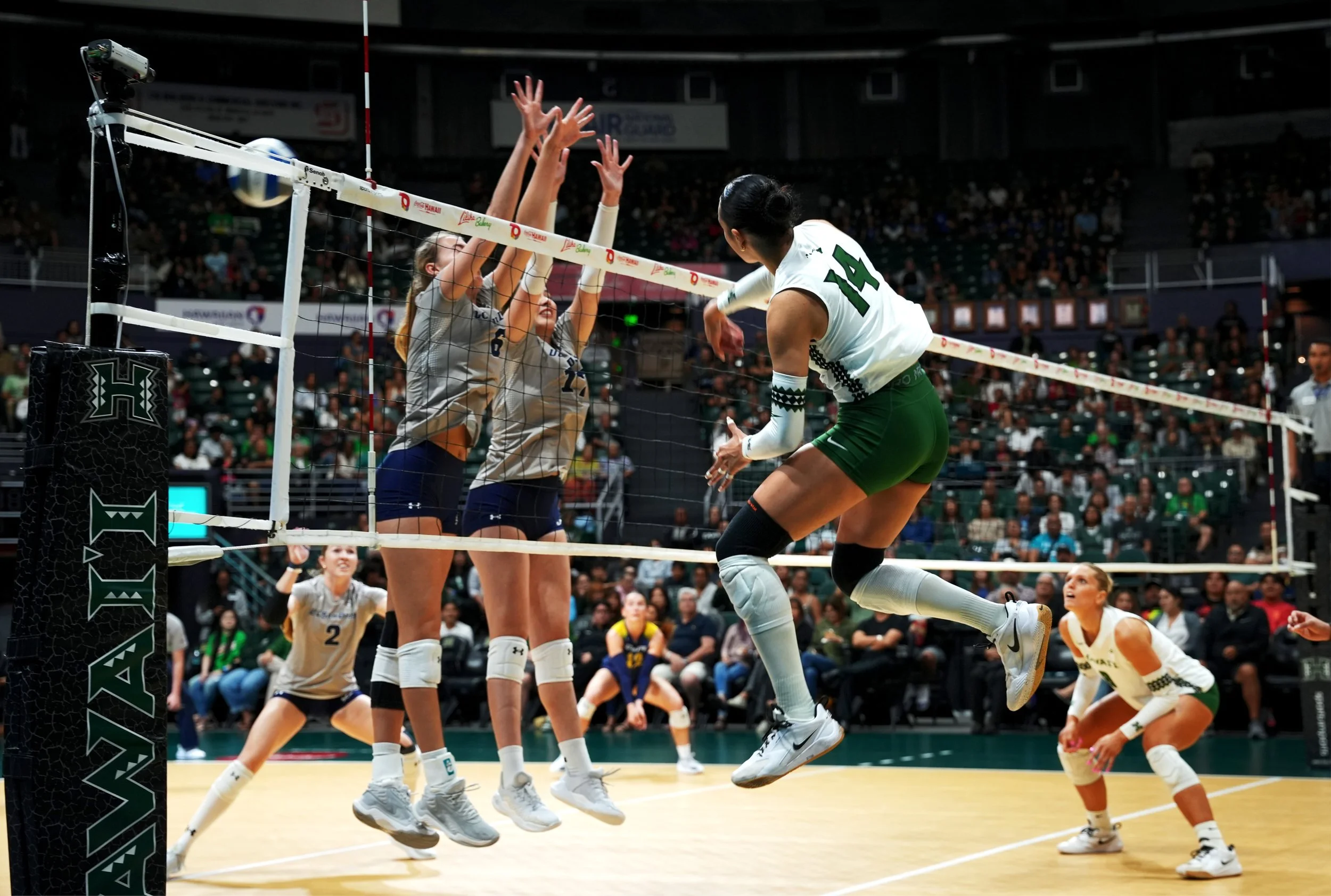 11.21volleyball_10.jpg