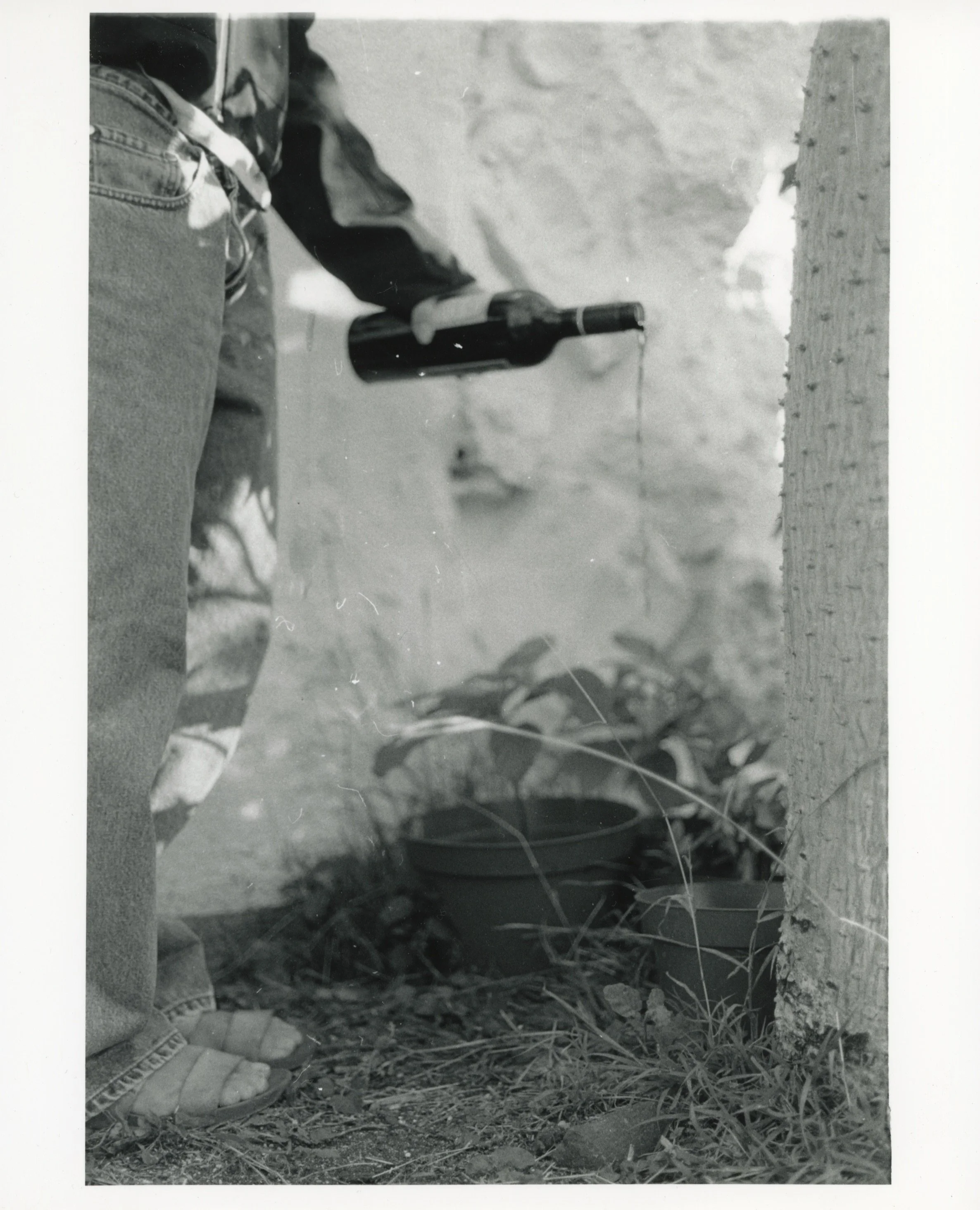 Girl Watering Plants with Wine, 2026, Gelatin Silver Print from a B&W 35mm negative, 8” x 10”