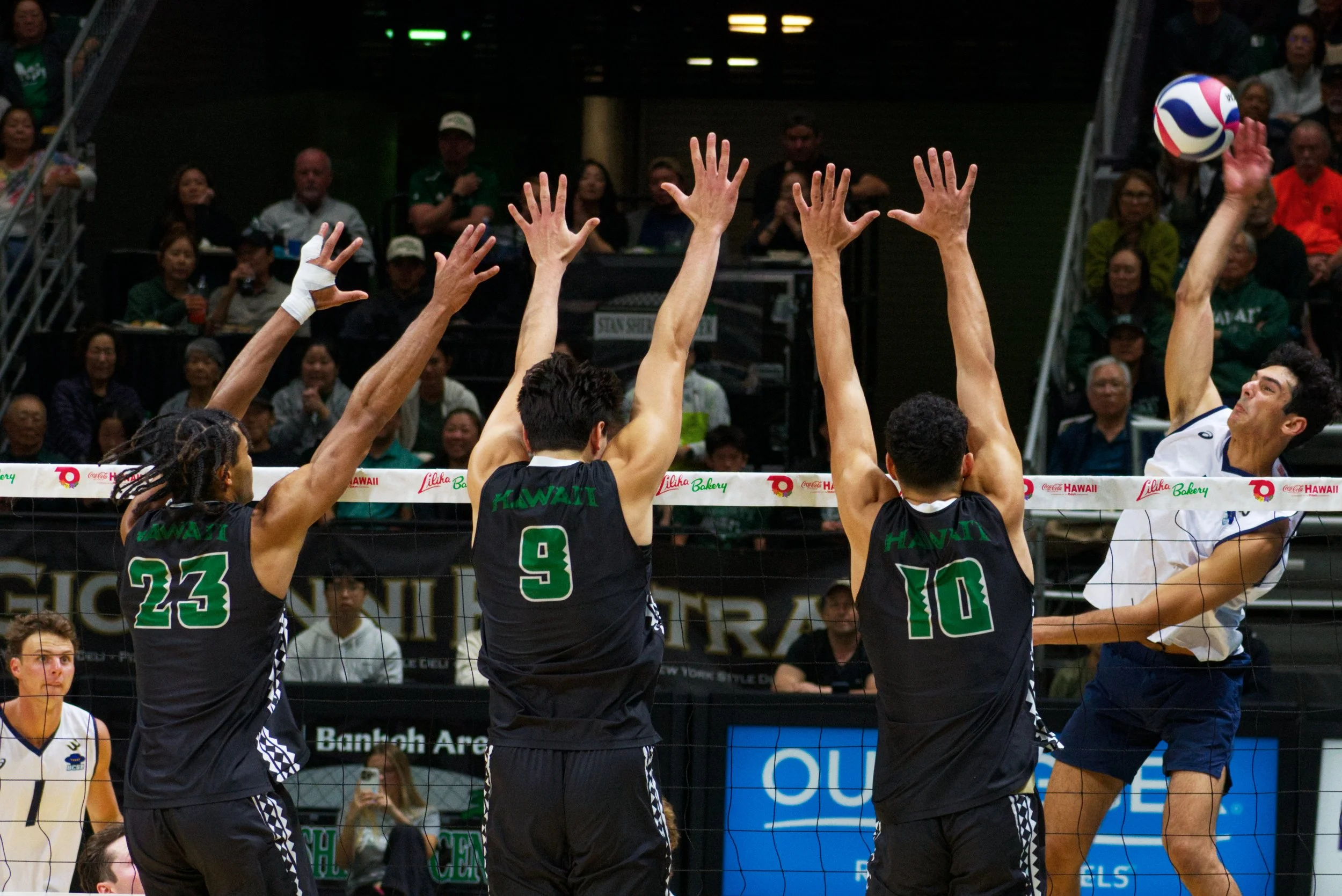 03.28Volley_4.jpg