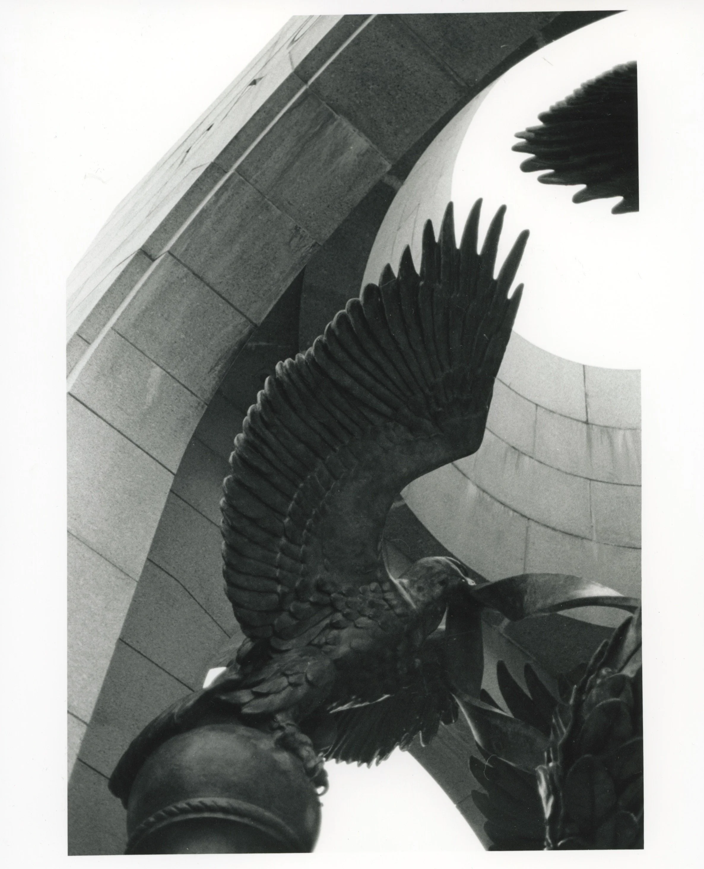 Eagle, 2026, Gelatin Silver Print from a B&W 35mm negative, 8” x 10”