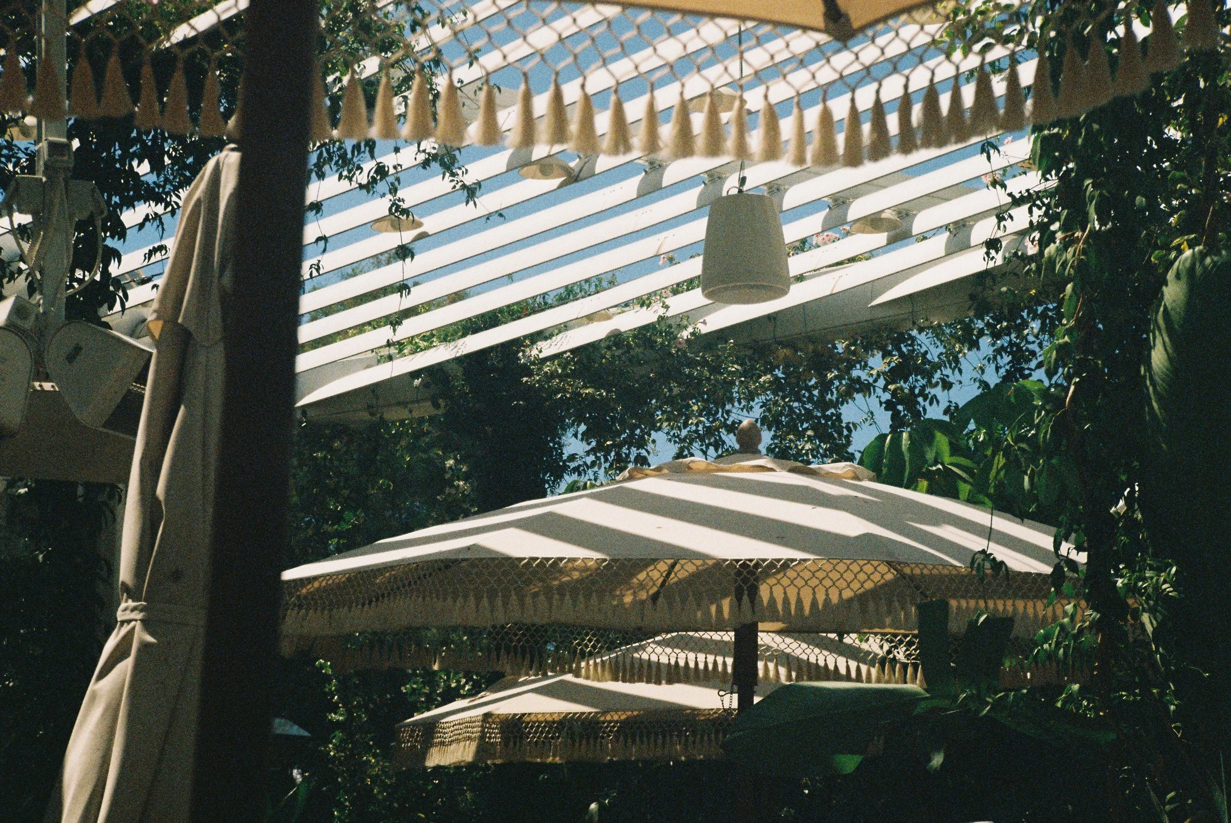 Cafe Umbrellas, Rishon Leziyon, 2026, Digital Scan from a Color 35mm Negative, 4” x 6”