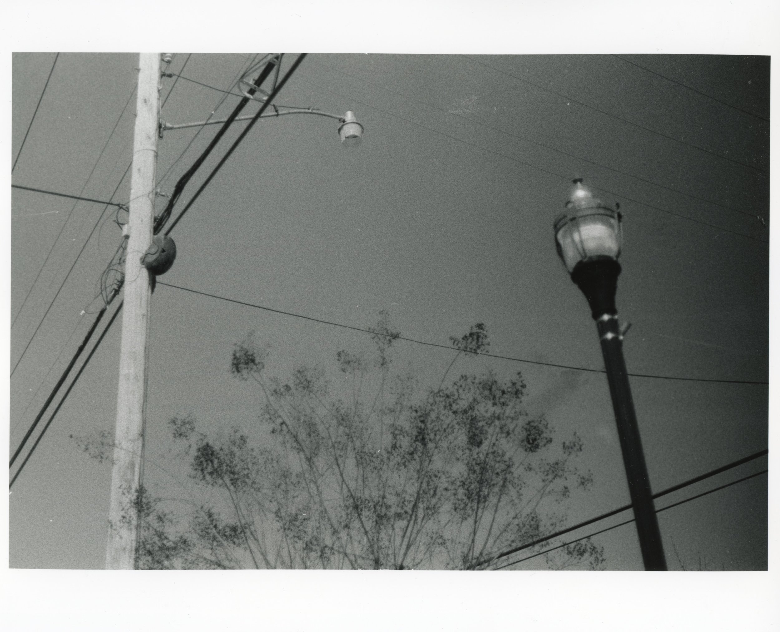 A Speaker on a Telephone Pole, 2026, Gelatin Silver Print from a B&W 35mm negative, 8” x 10”