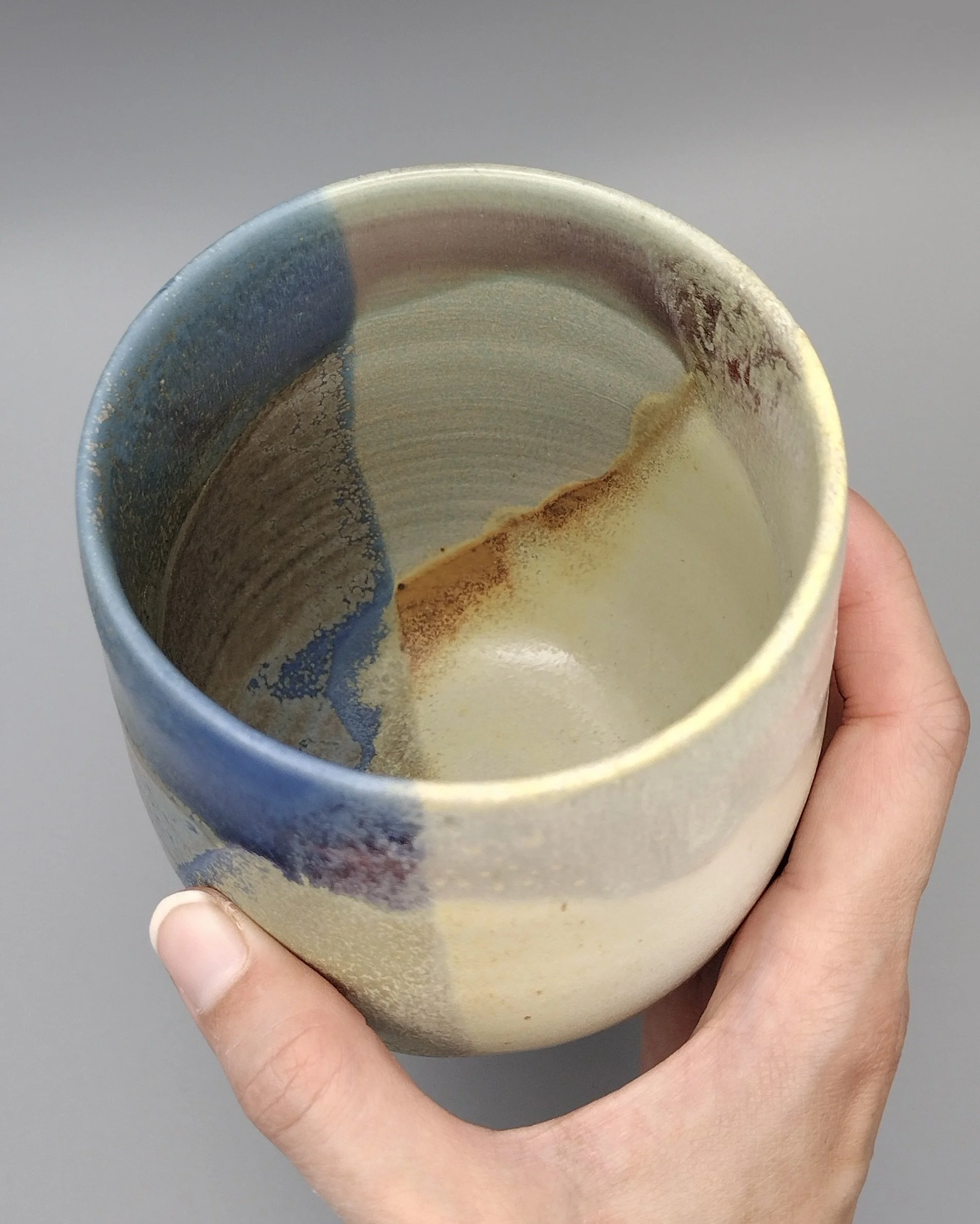 Tricolored Cup334077.jpg