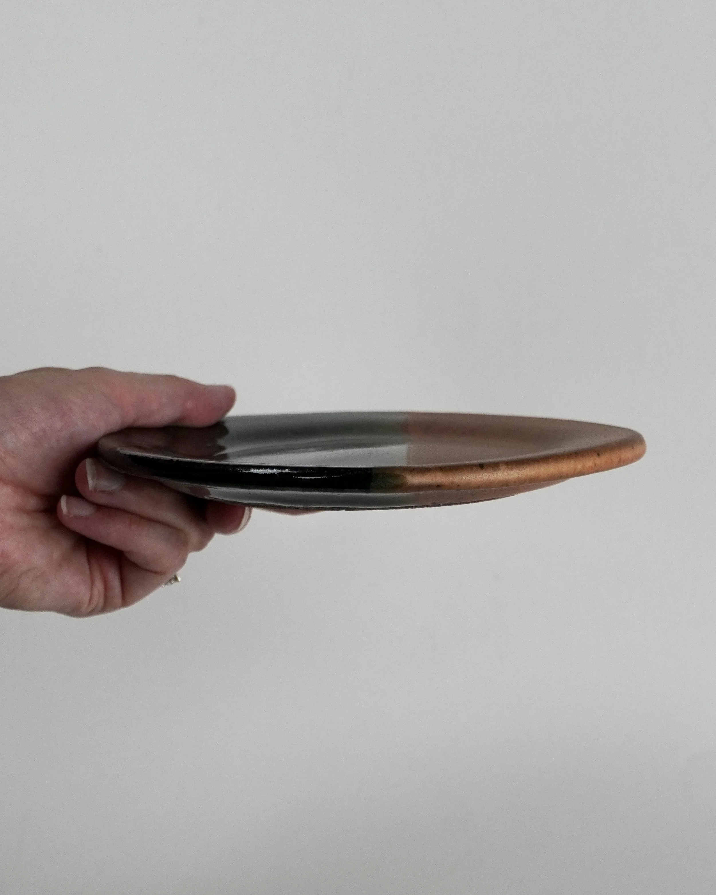 Plate 2026 Two Tone 2.JPG