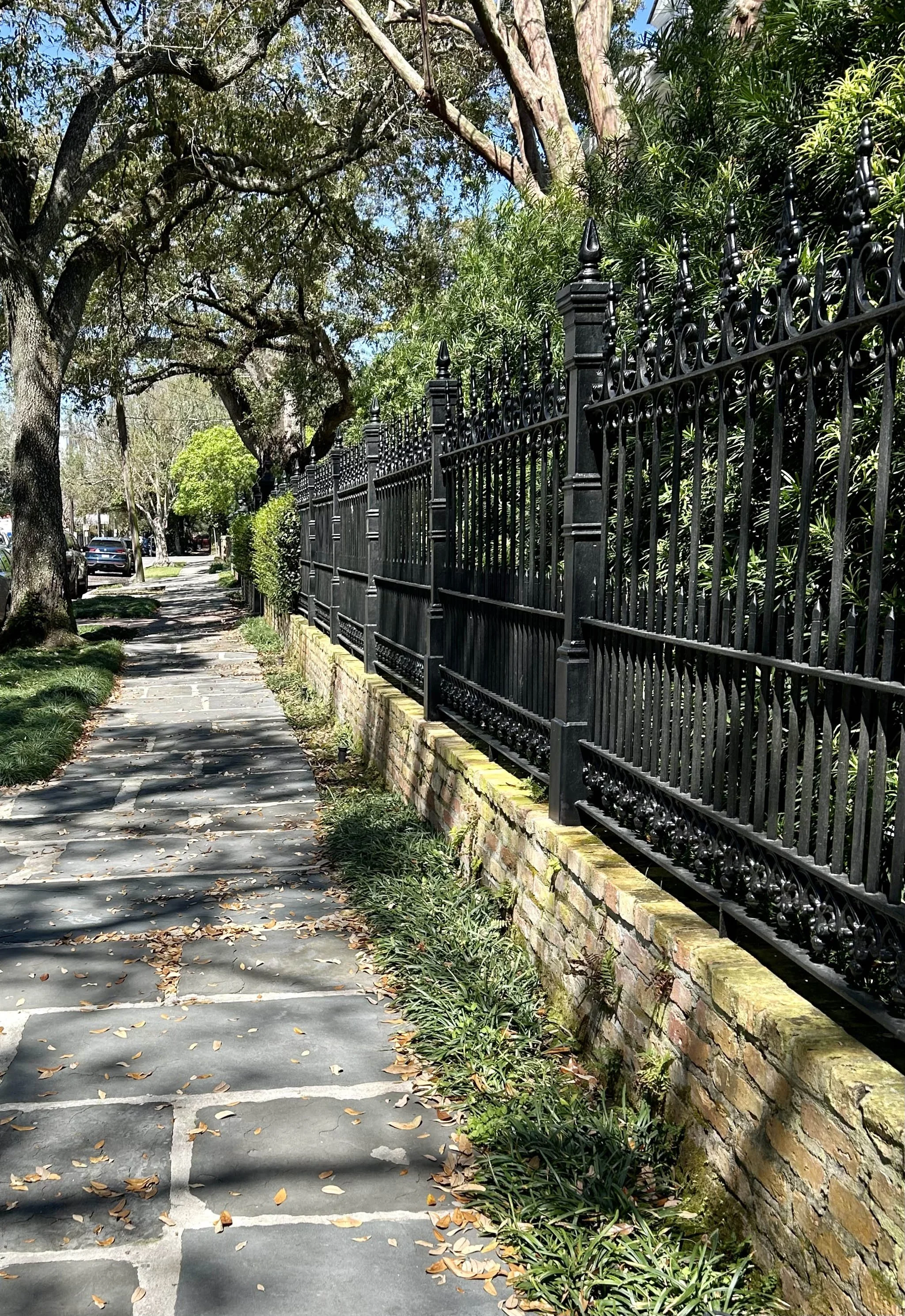 TOR-SIDEWALK1.jpg