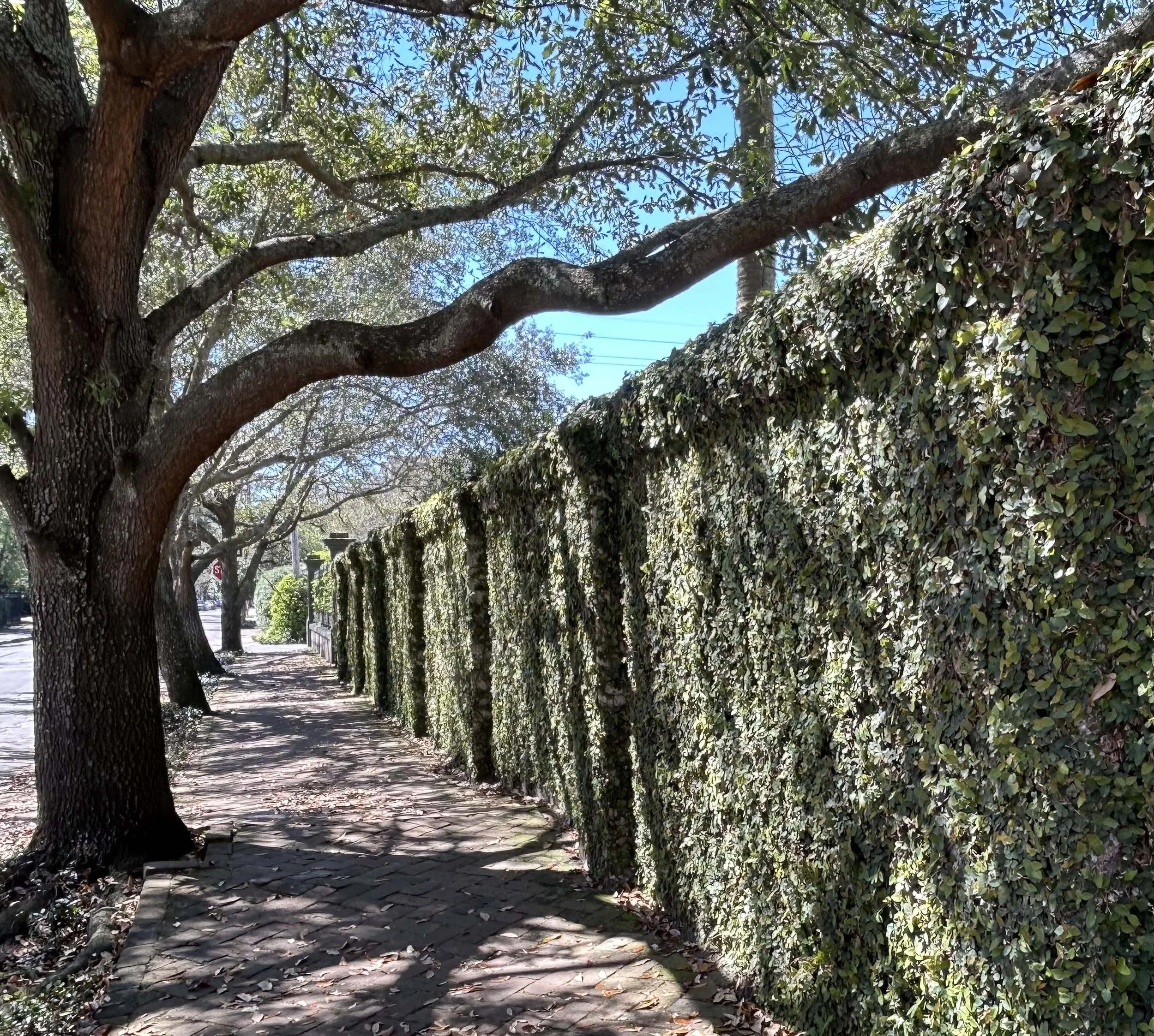 TOR-SIDEWALK2.jpg