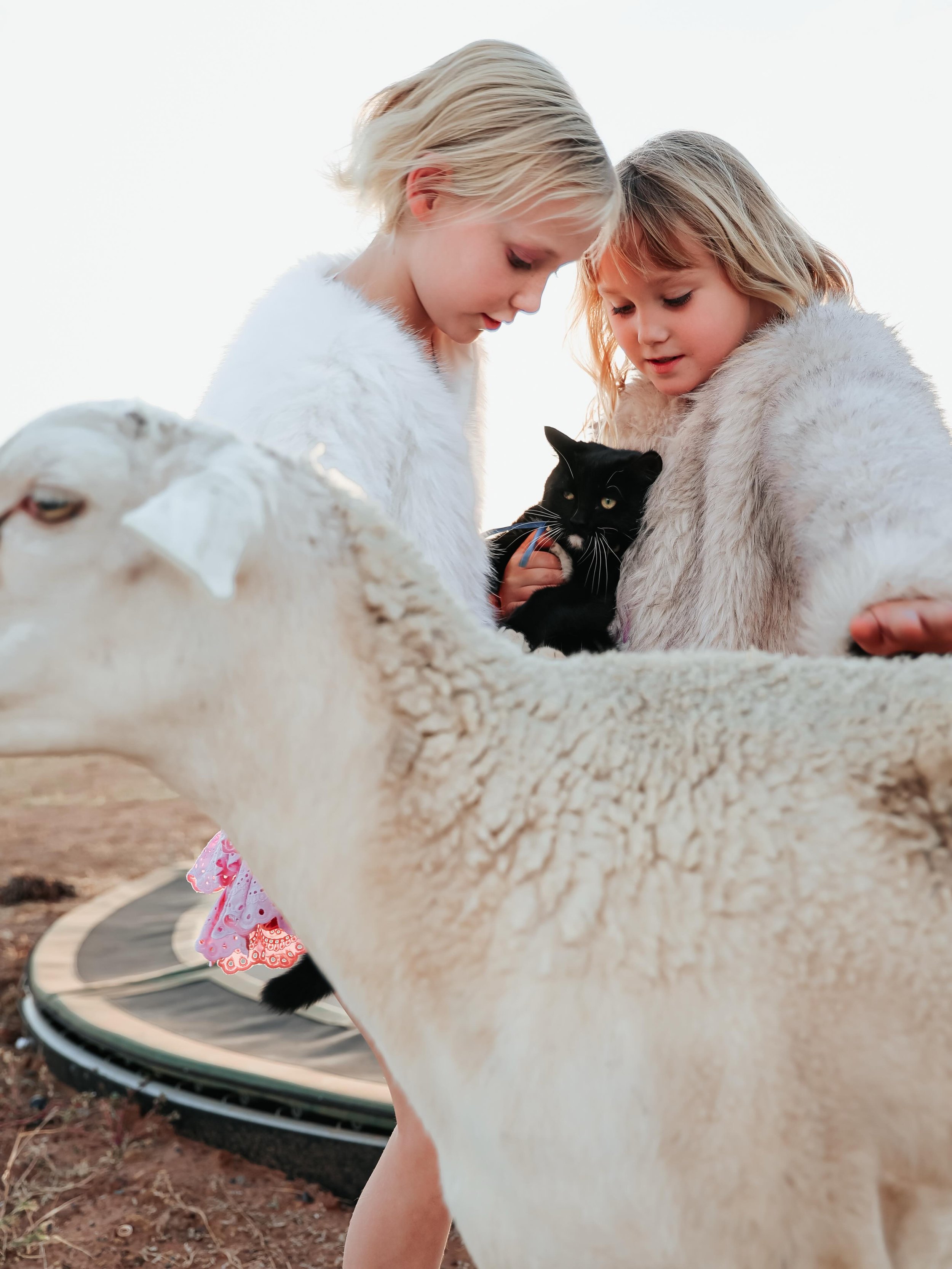 Quiet times make for spontaneous photoshoots with the girlies. Country life is truly the best life 🐑🌾