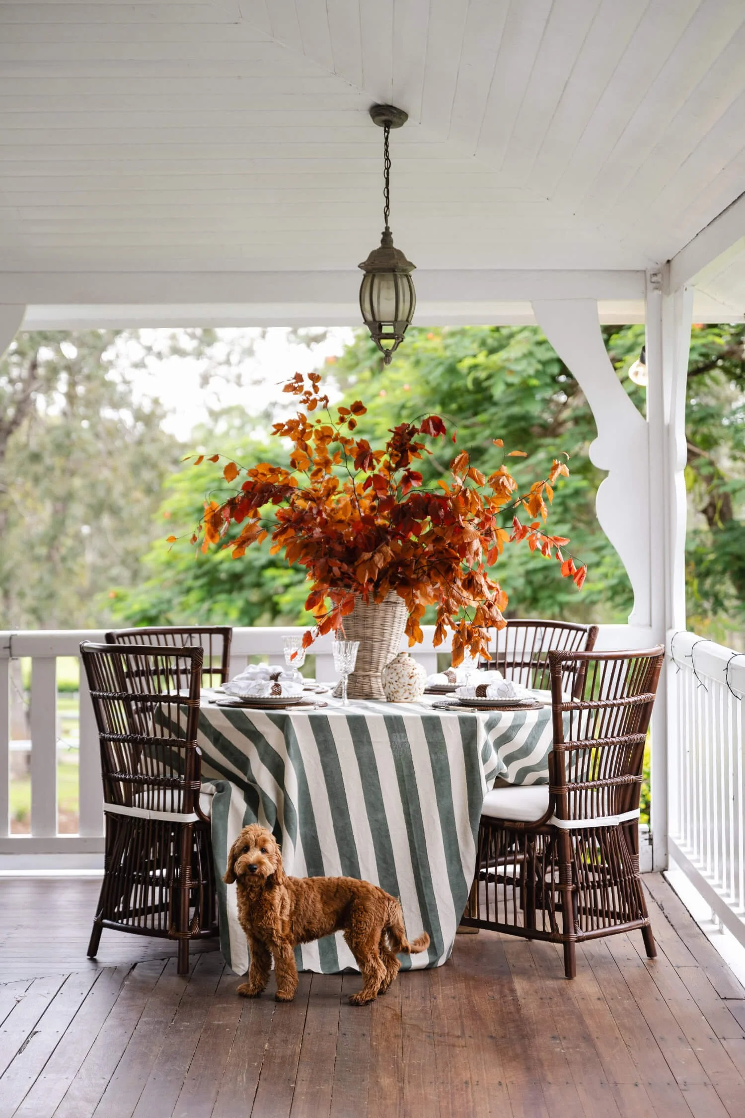 Rosewood Farm's cozy porch scene with a round dining table covered with a striped tablecloth, surrounded by woven chairs, and a large floral arrangement with reddish-brown leaves as a centerpiece. By Biju Interiors
