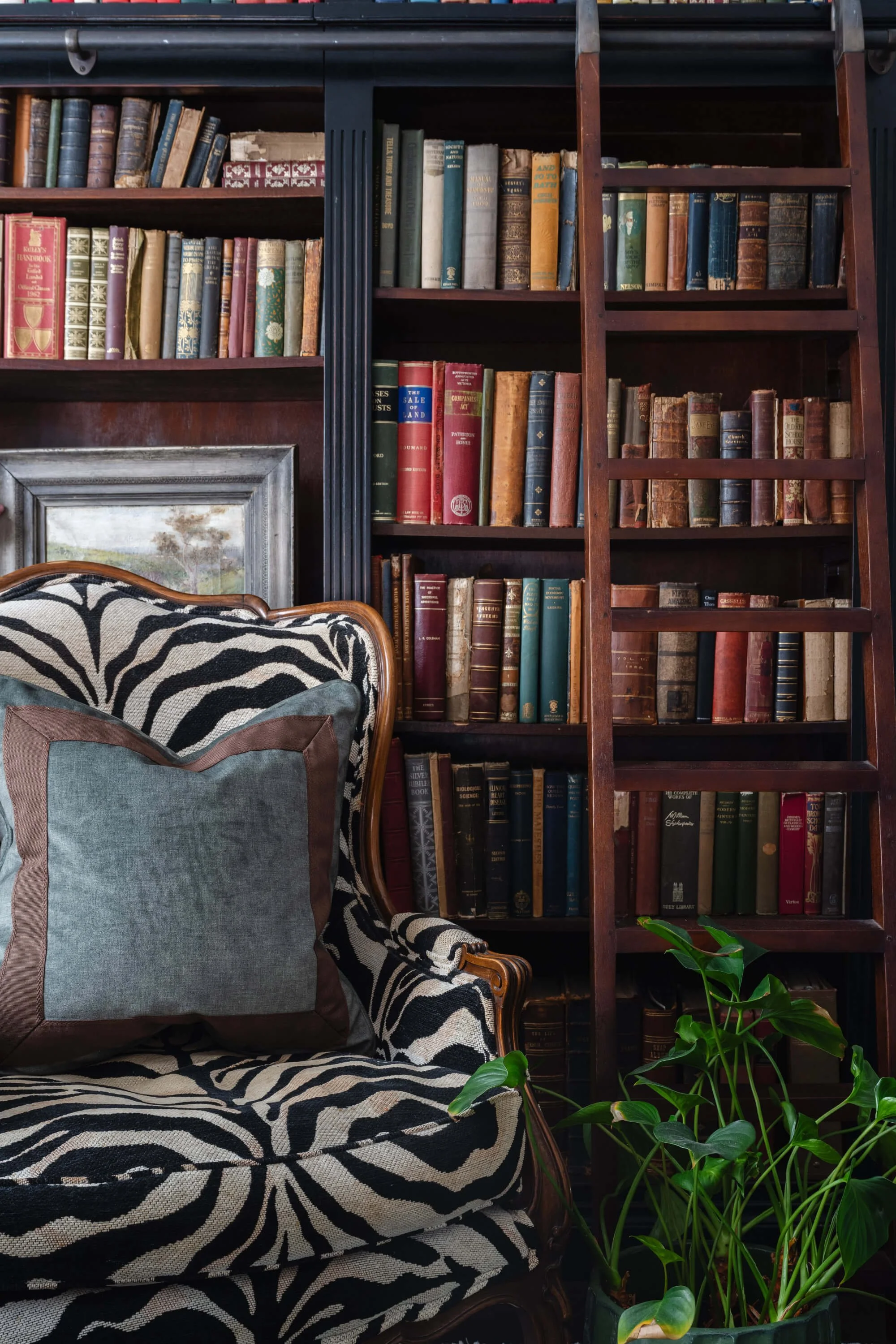 A cozy reading nook with a zebra print chair, a large cushion, and a bookshelf filled with old books behind it. Ascot Residential Interior Design by Biju Interiors.